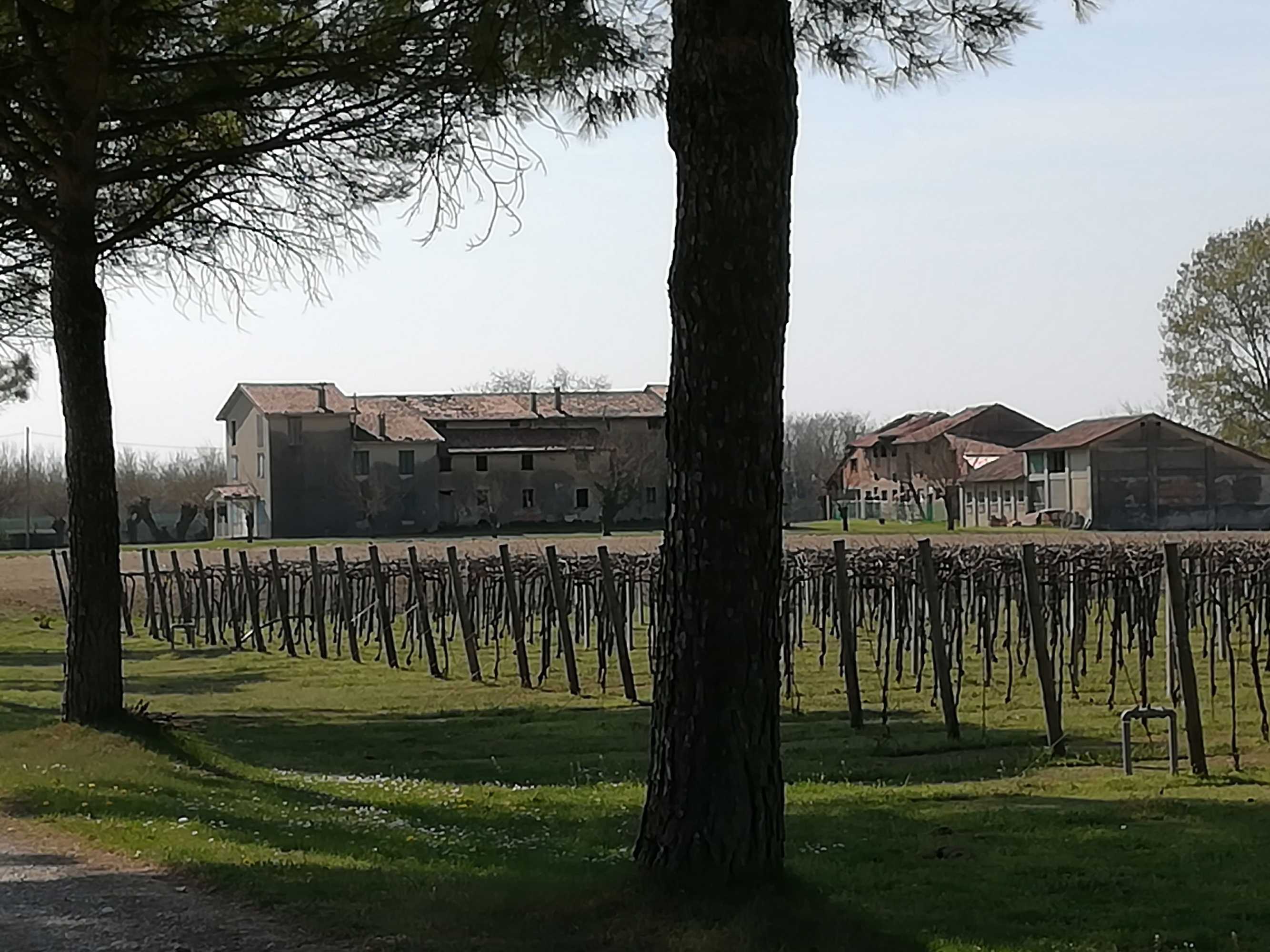 Gift card for Agriturismo Ai Due Leoni Gift card for Agriturismo Ai Due Leoni