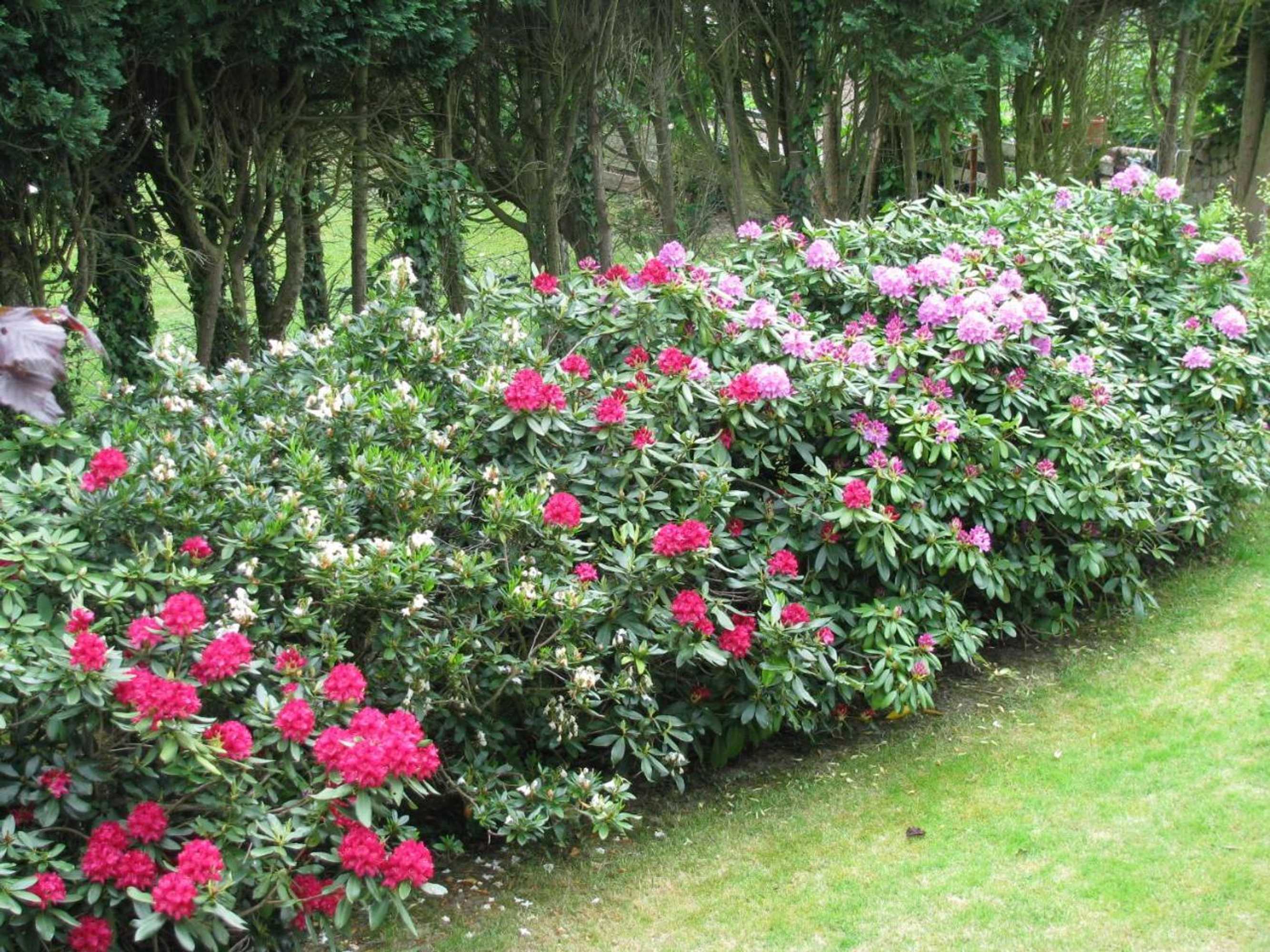 Gift card for Ferienwohnungen Schlossblick