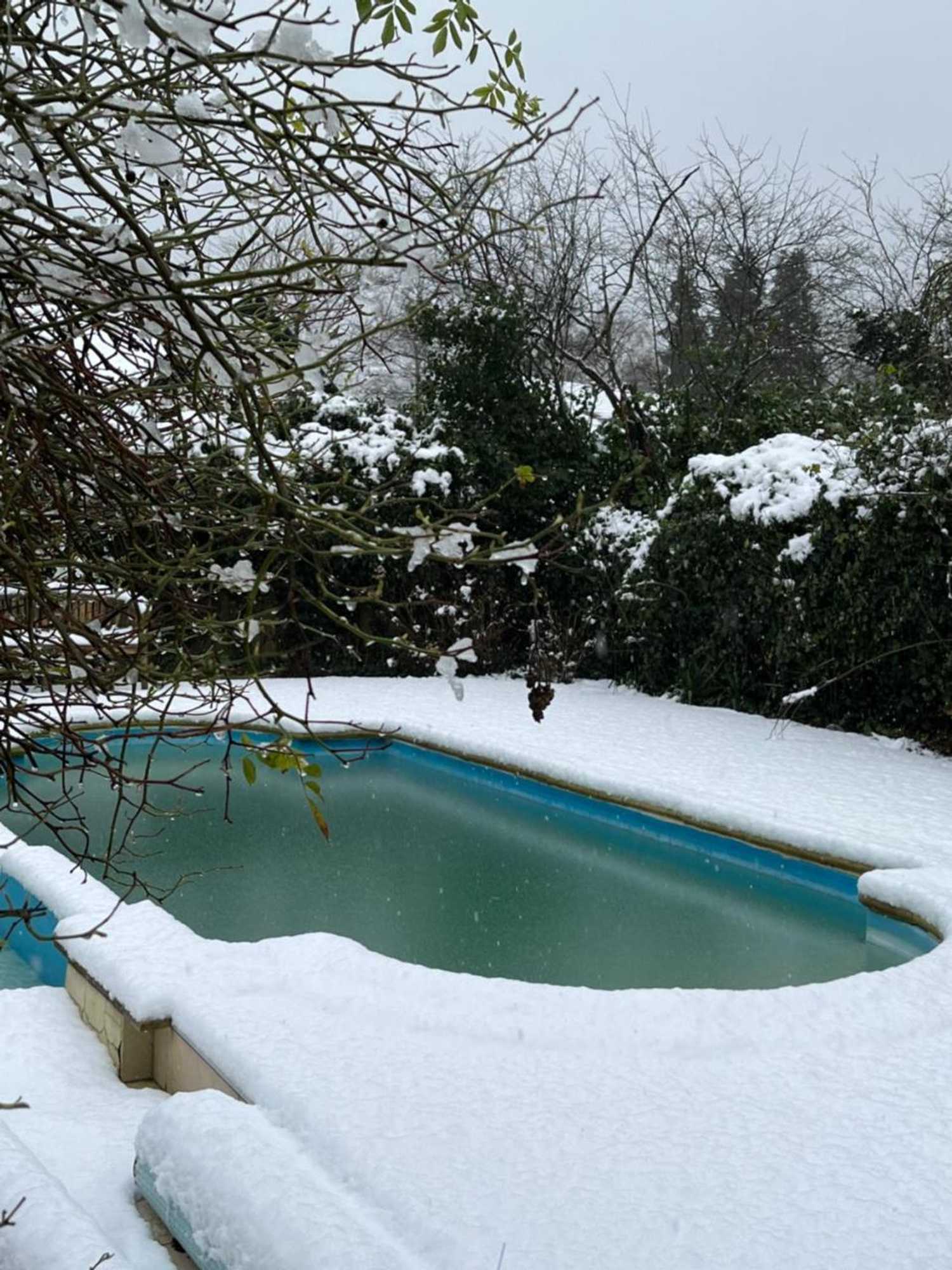 Gift card for The Pool House