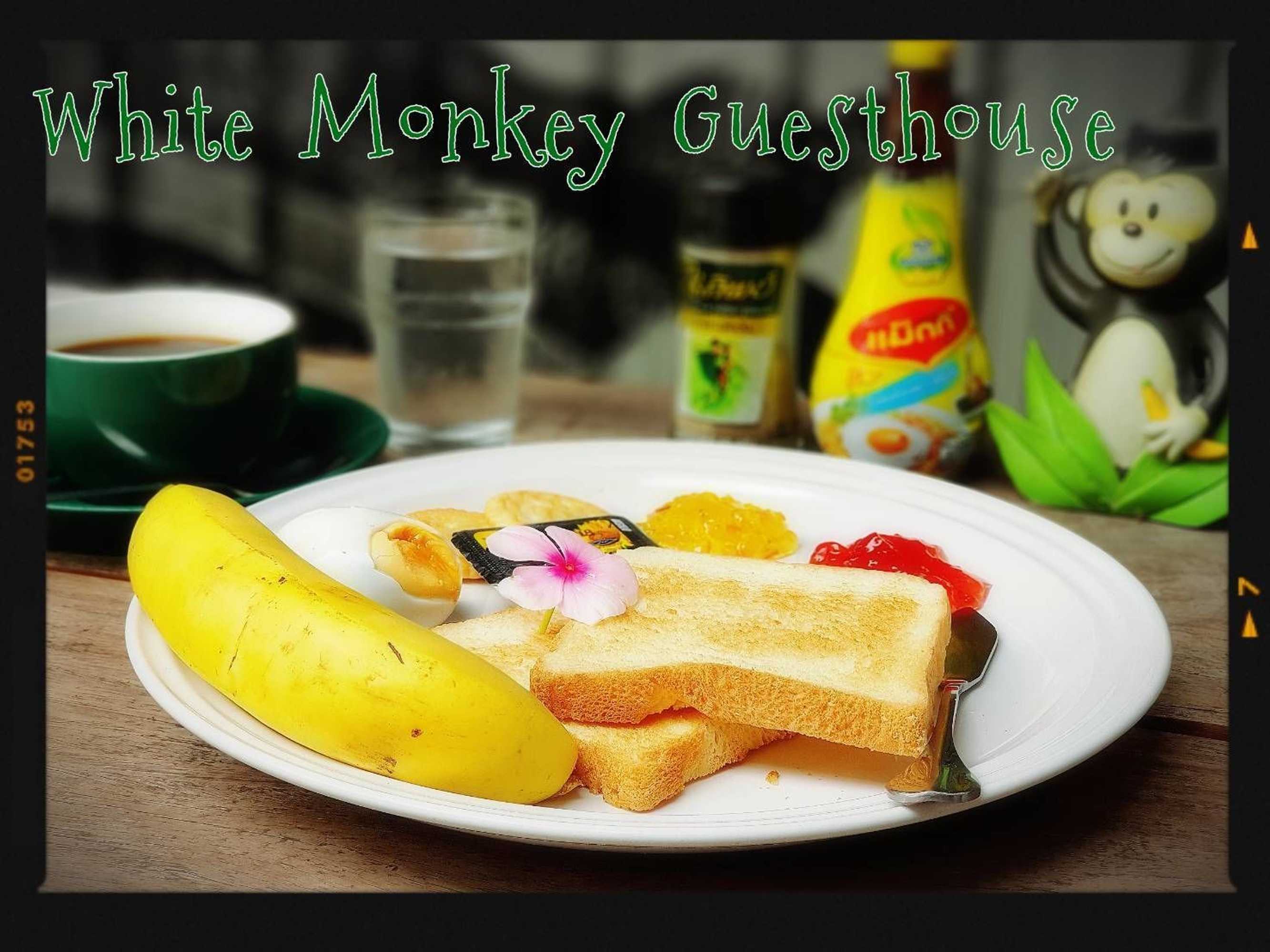 Gift card for White Monkey Guesthouse Gift card for White Monkey Guesthouse