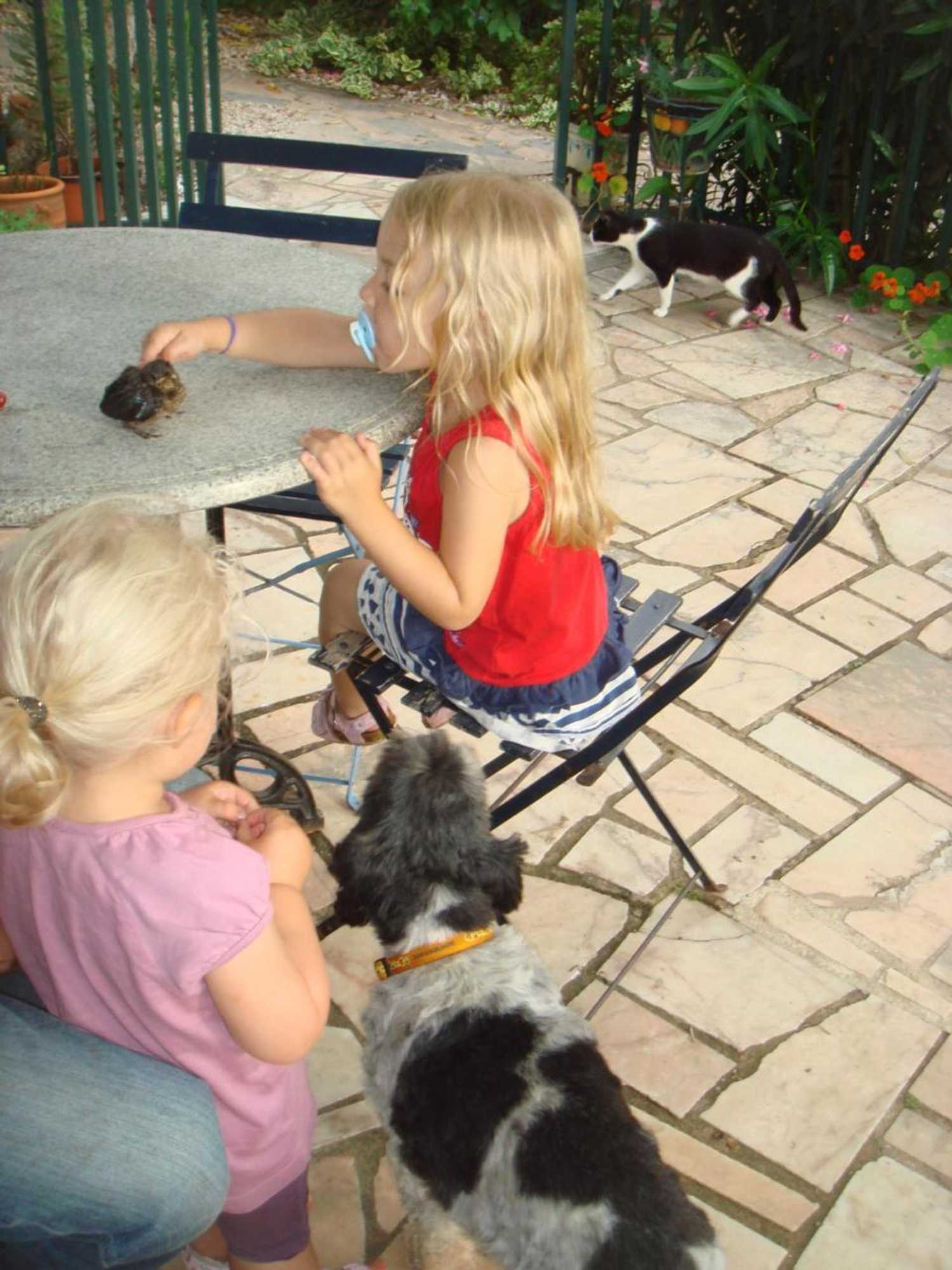 Gift card for Redondo Lodges