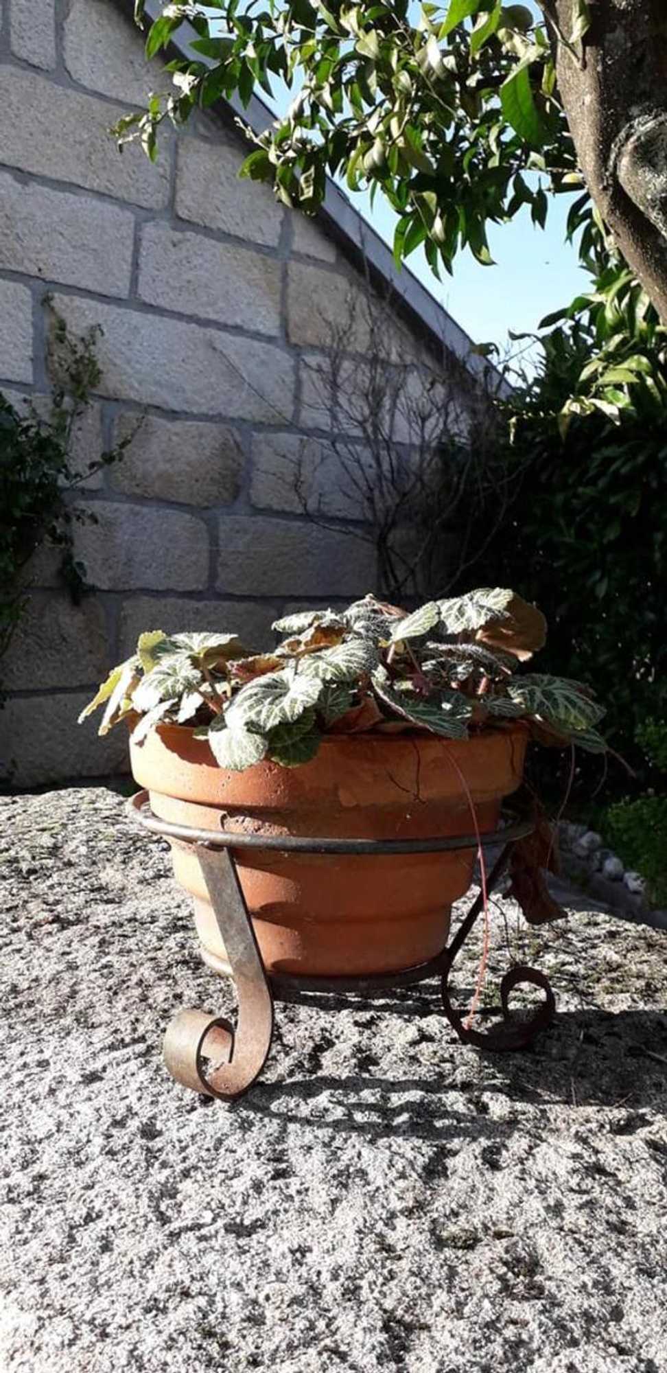 Gift card for Casa do Forno da Aldeia - Serra da Estrela