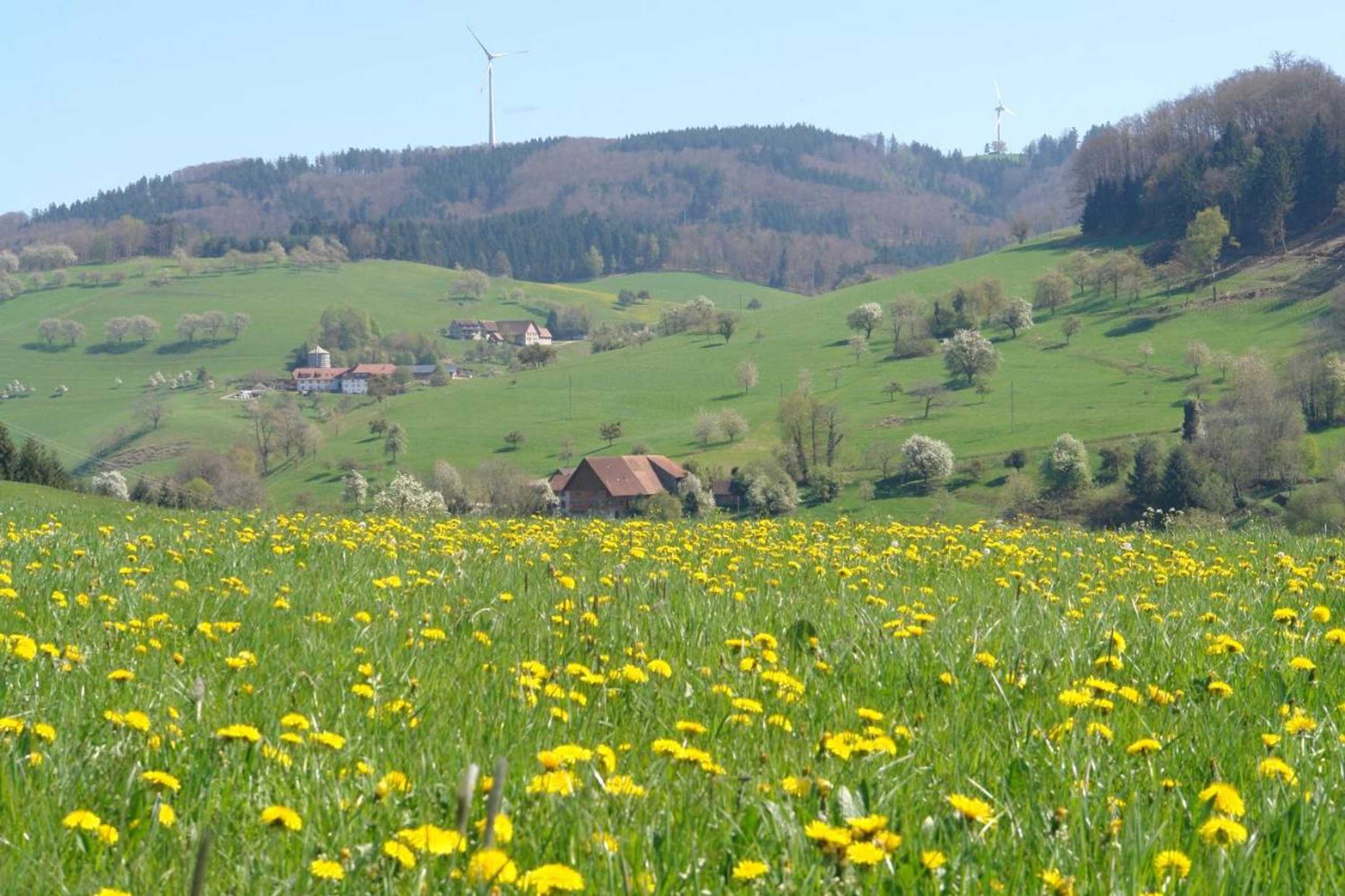 Gift card for Schwarzwälder Ferienwohnungen - Marita Schäfer