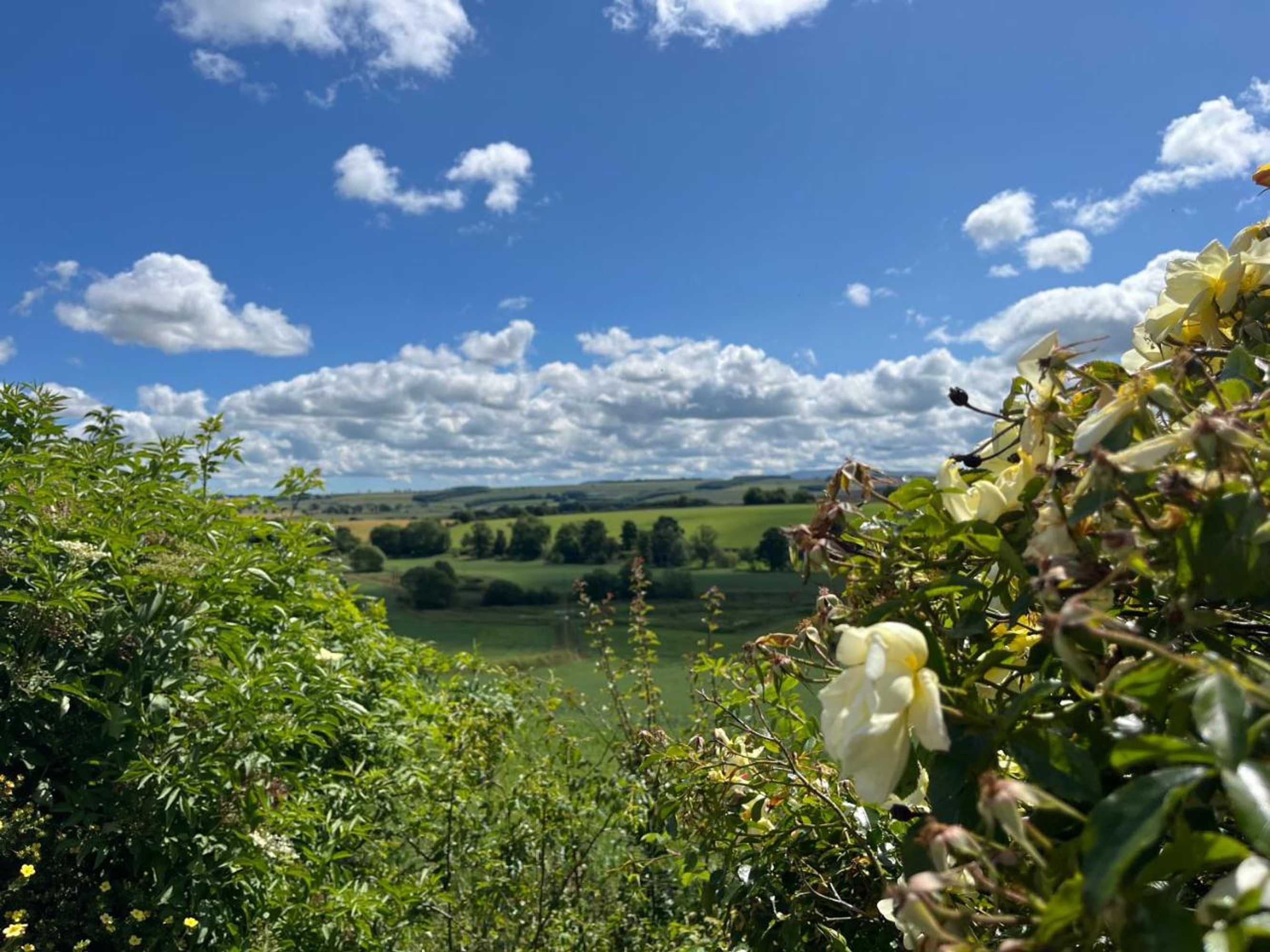 Gift card for Garden Bank Cottage