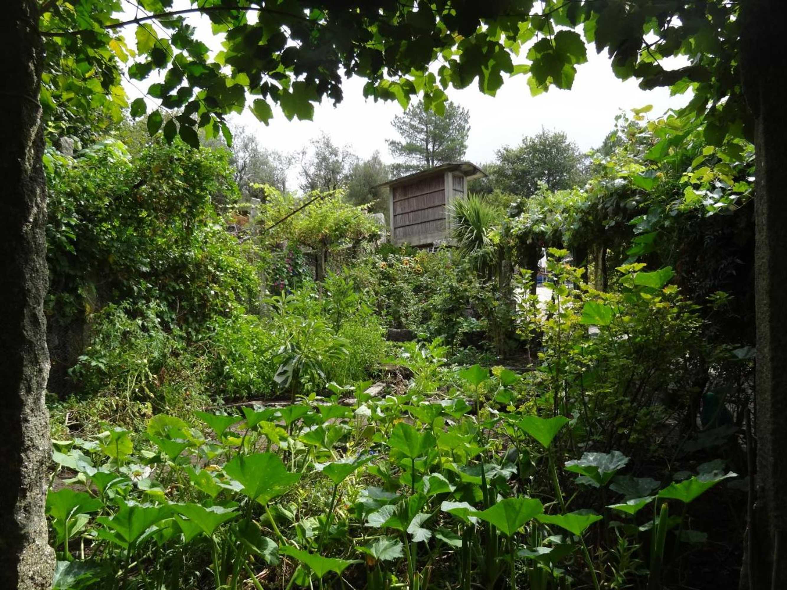 Gift card for Quinta Das Delicias