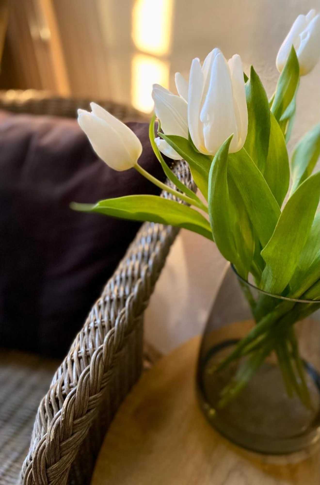 Gift card for Vanilla Hof