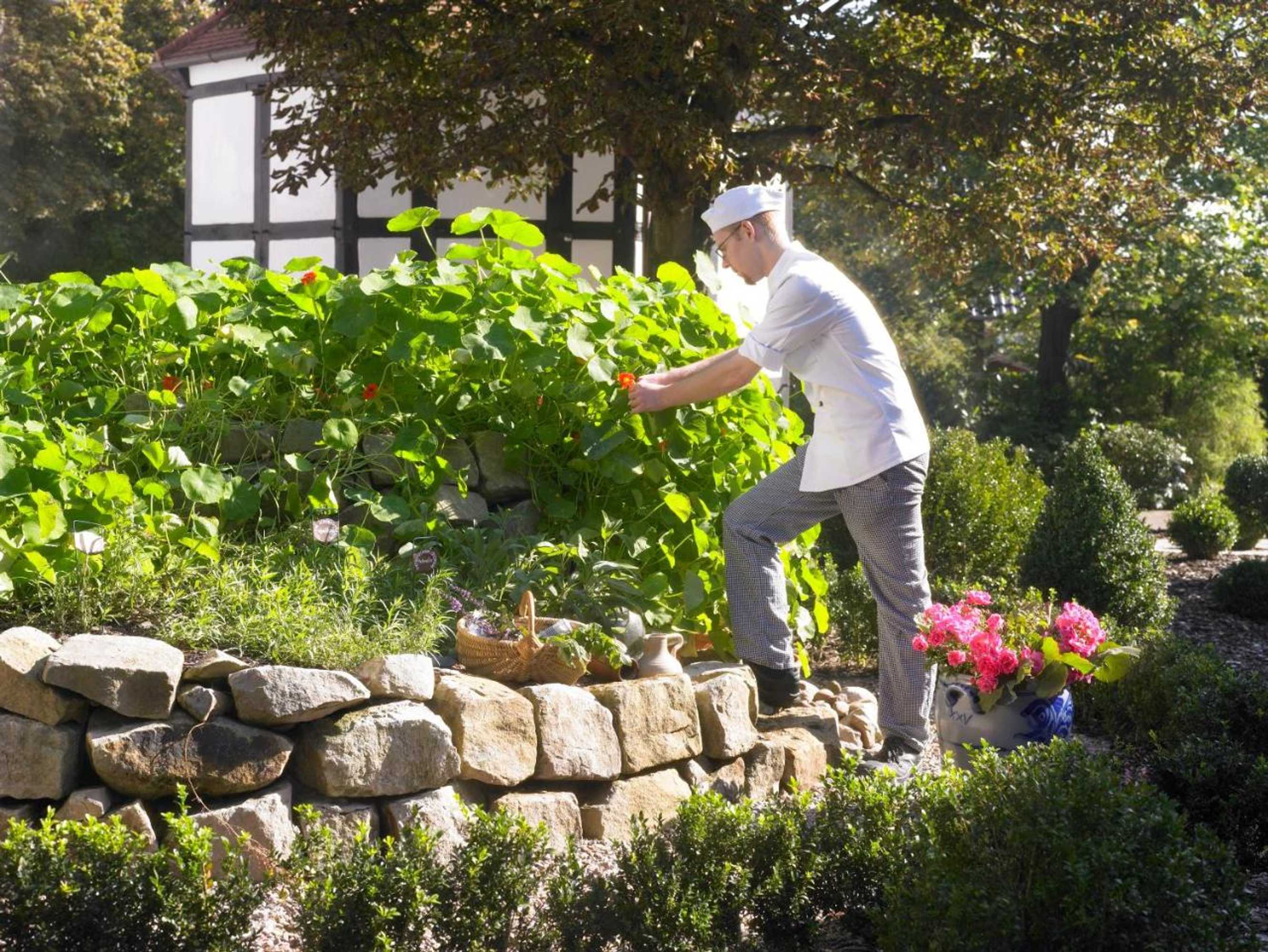 Gift card for Hotel Bad Griepshop