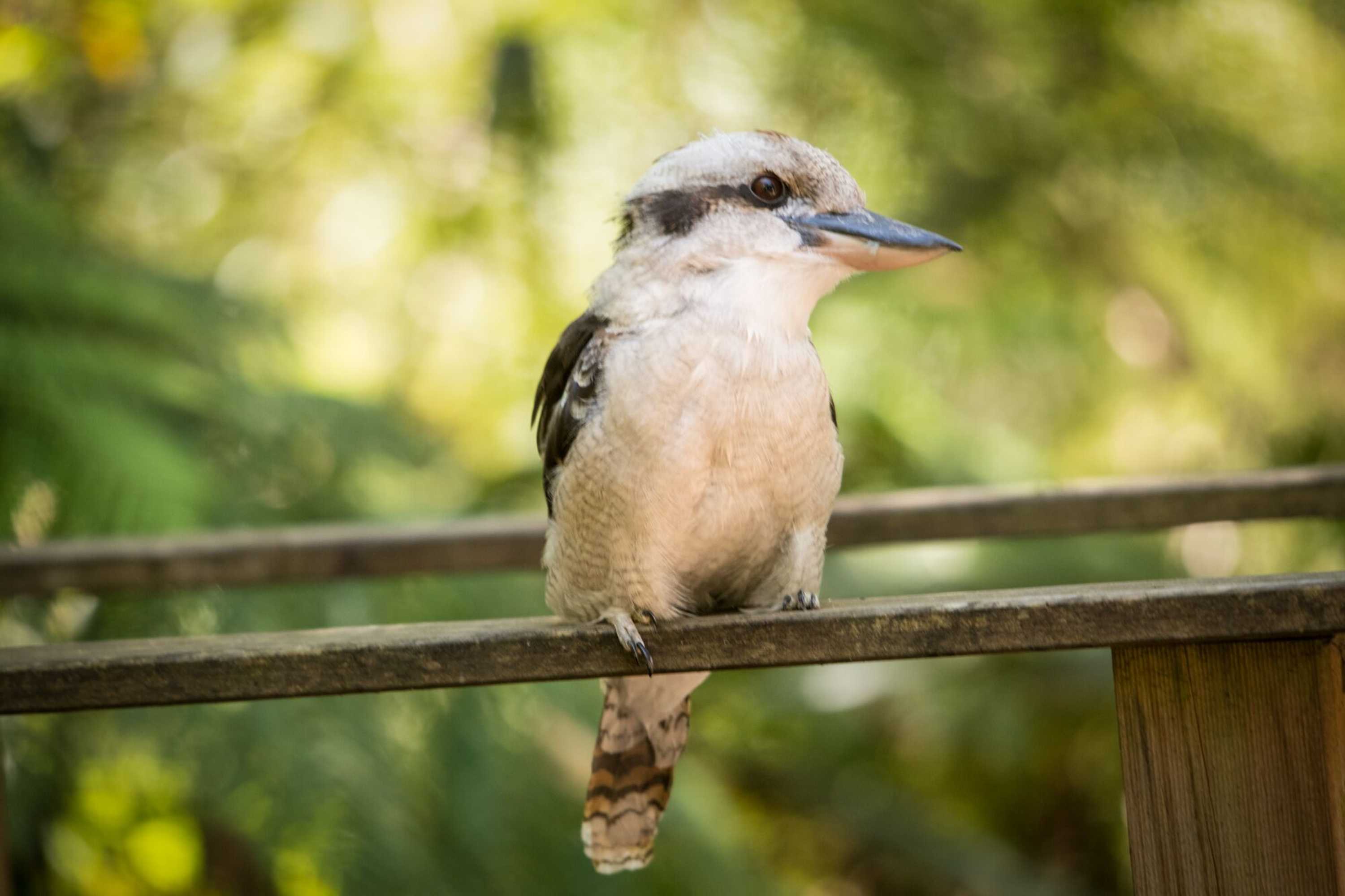 Gift card for Myers Creek Cascades Luxury Cottages