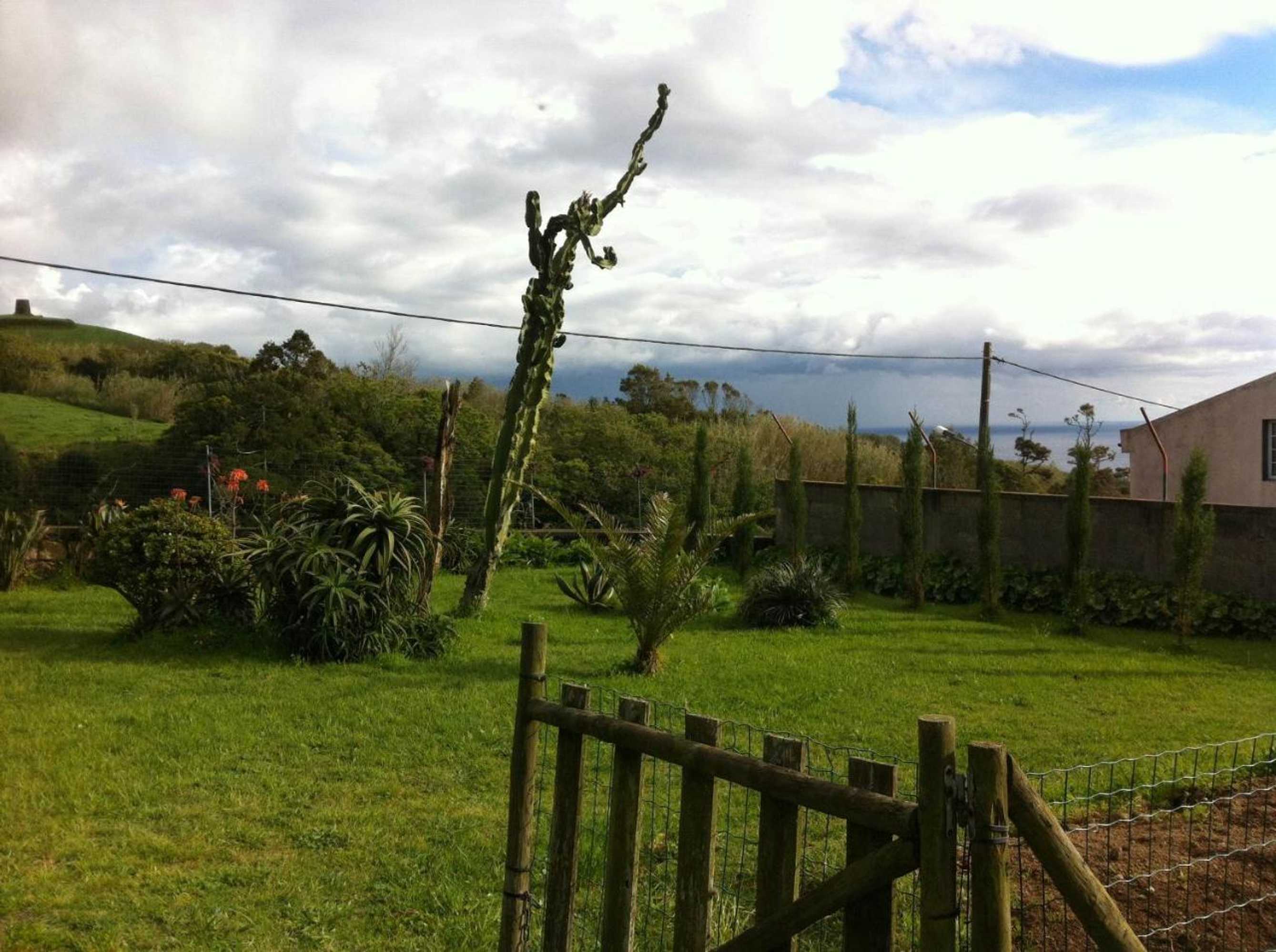 Gift card for Novovento