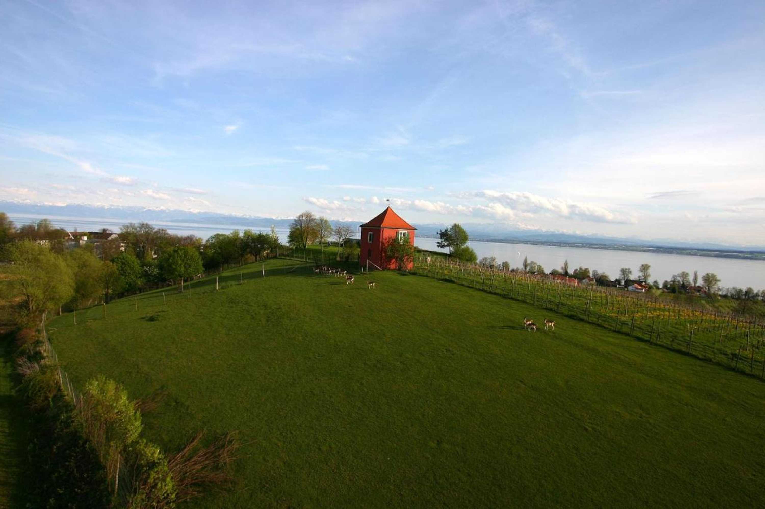 Gift card for Appartementhotel Röhrenbach