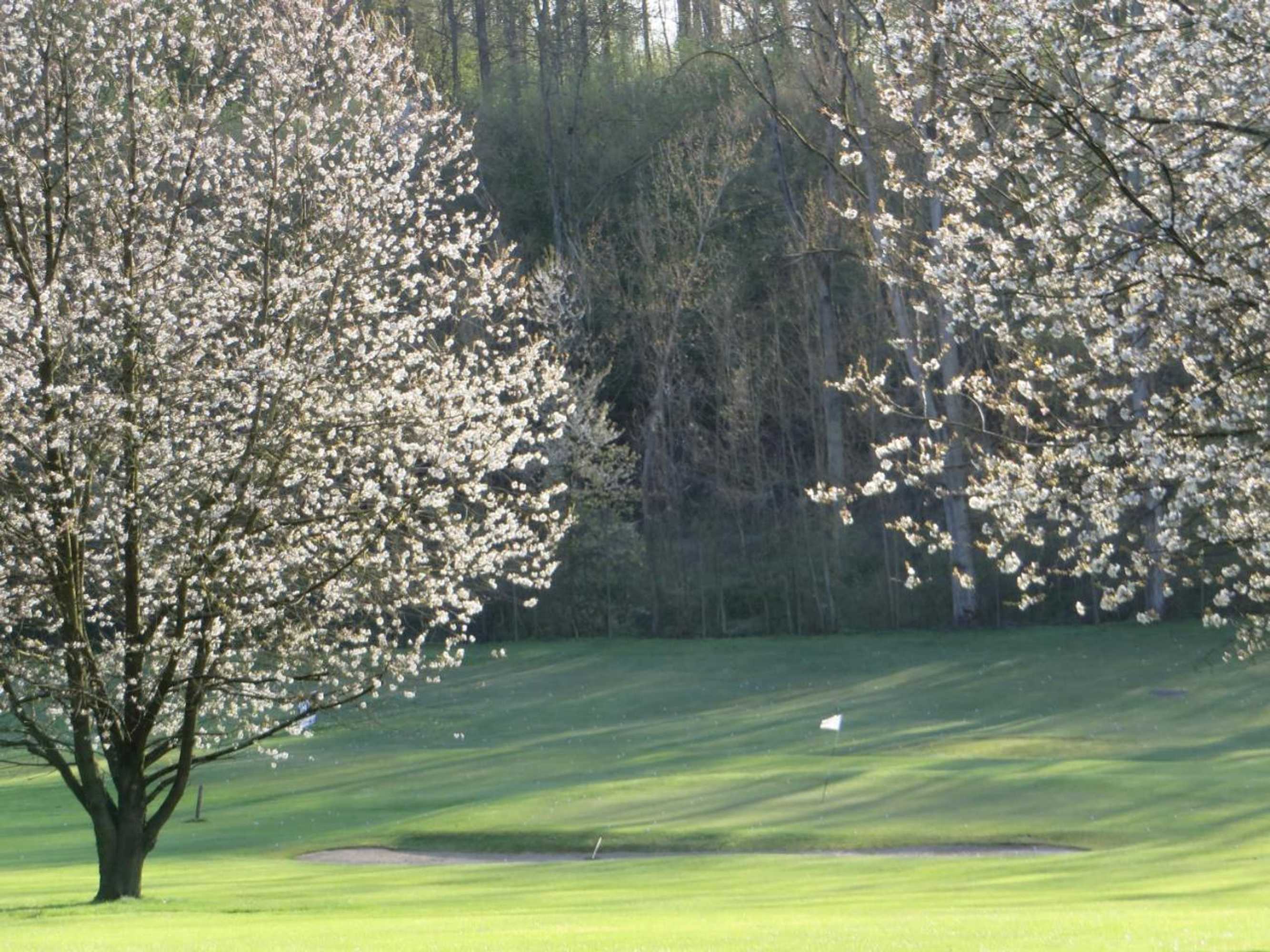 Gift card for Golf & Hôtel de Falnuée