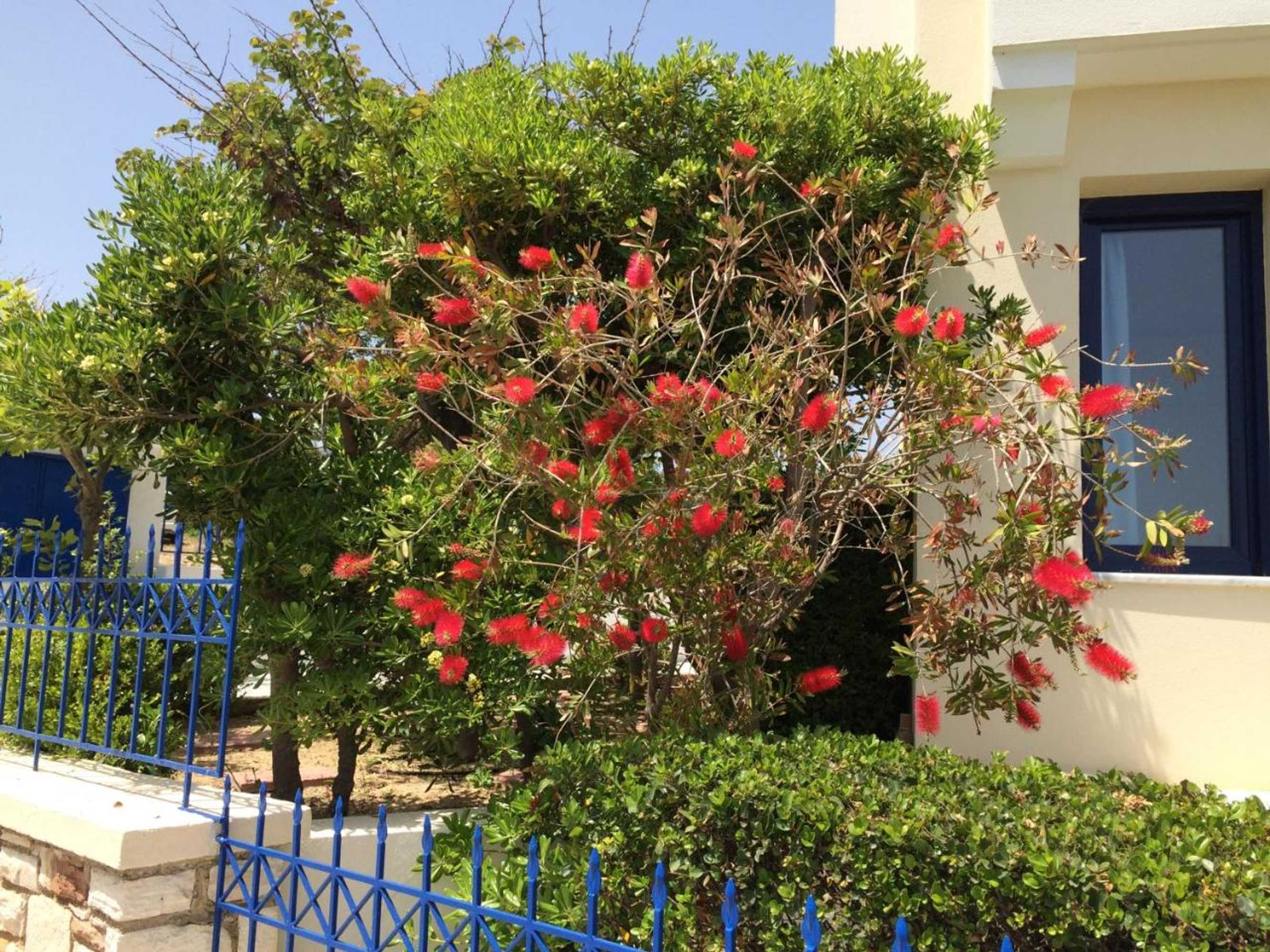 Gift card for Sea Breeze Apartments Chios