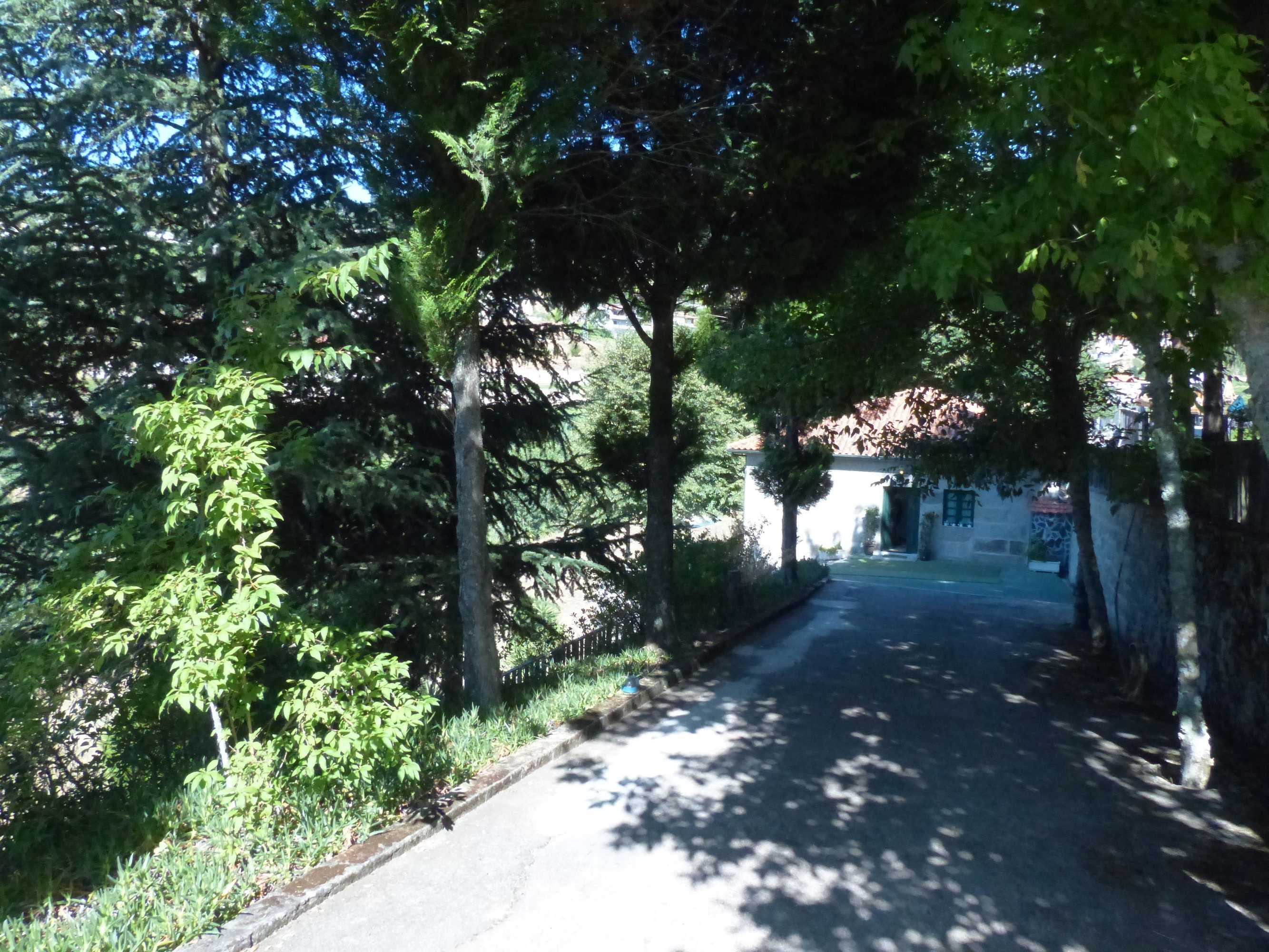 Gift card for Quinta da Cartida Gift card for Quinta da Cartida