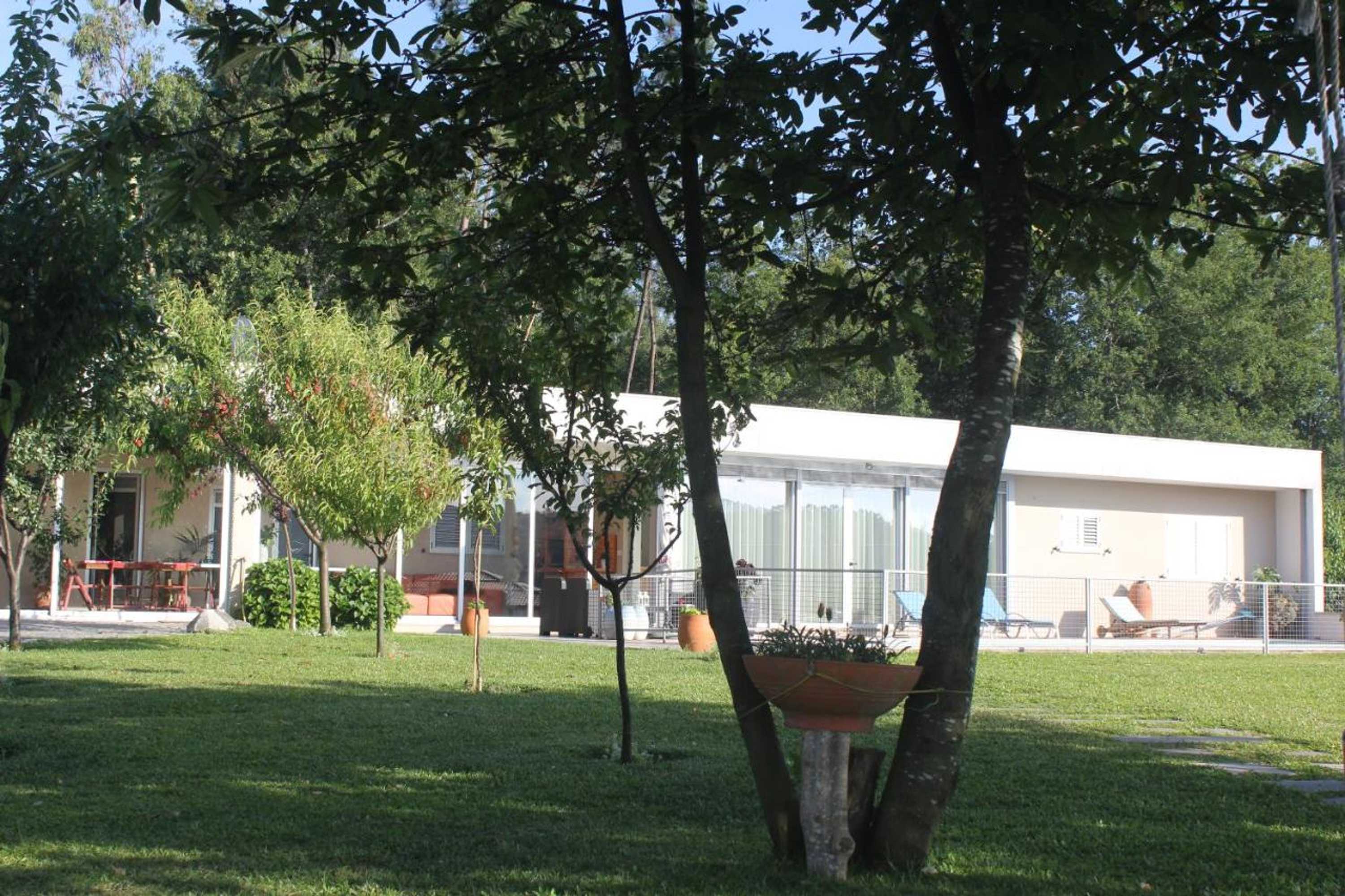 Gift card for Manuel Tiago Pereira Gift card for Manuel Tiago Pereira