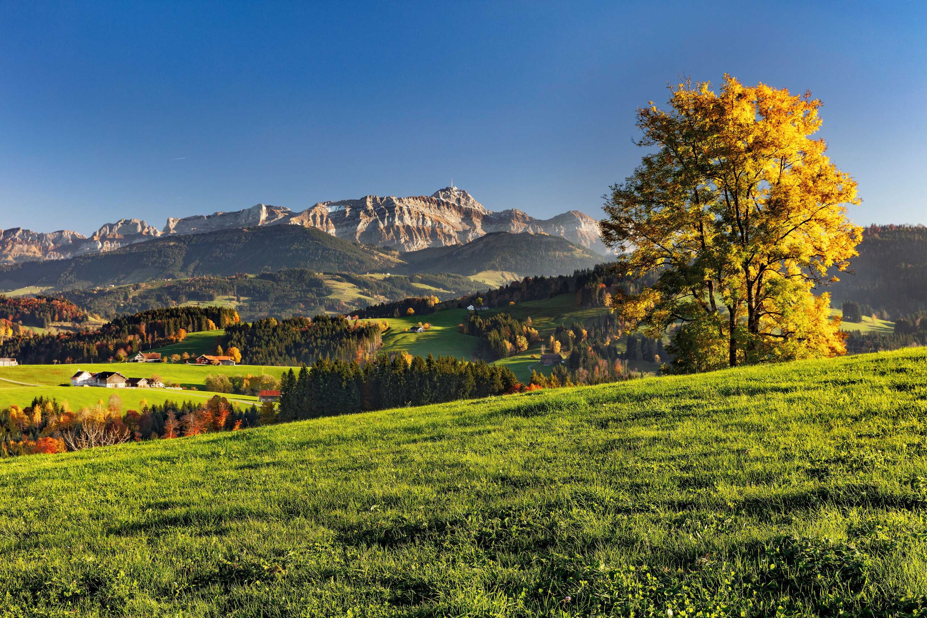 Gift card for Hotel- Restaurant Krone