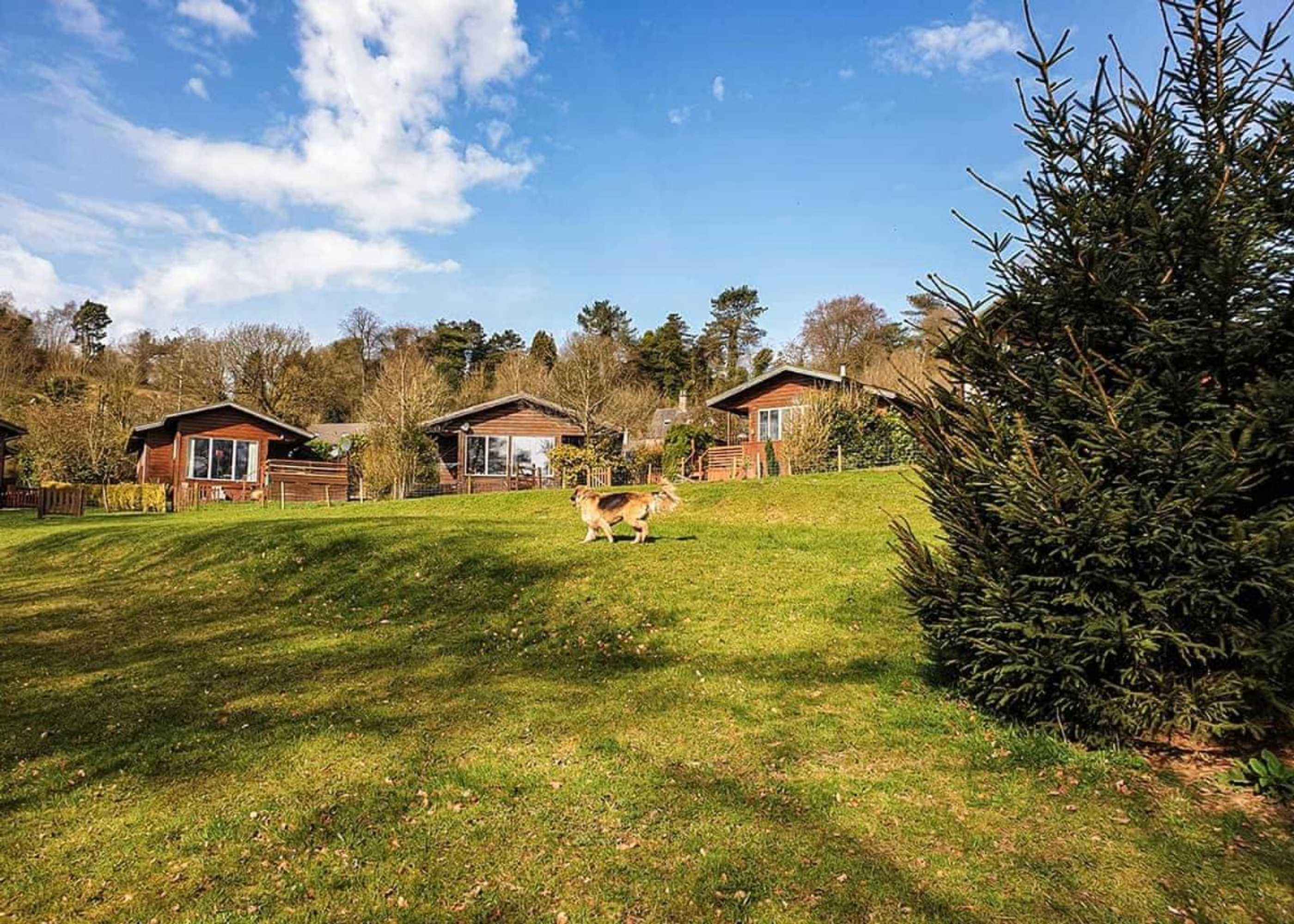 Gift card for Rudyard Lake Lodges