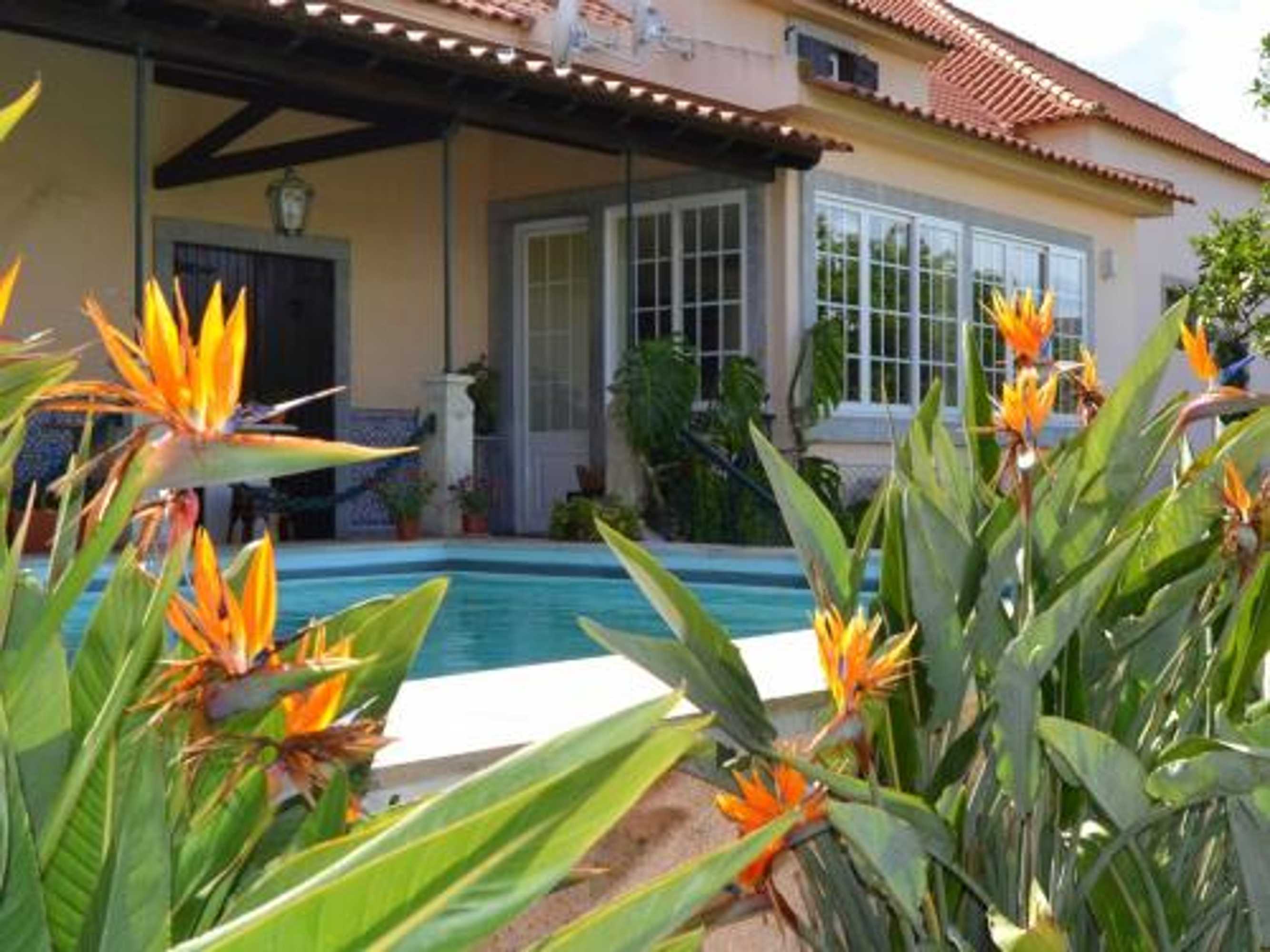 Gift card for Quinta do Covanco Gift card for Quinta do Covanco