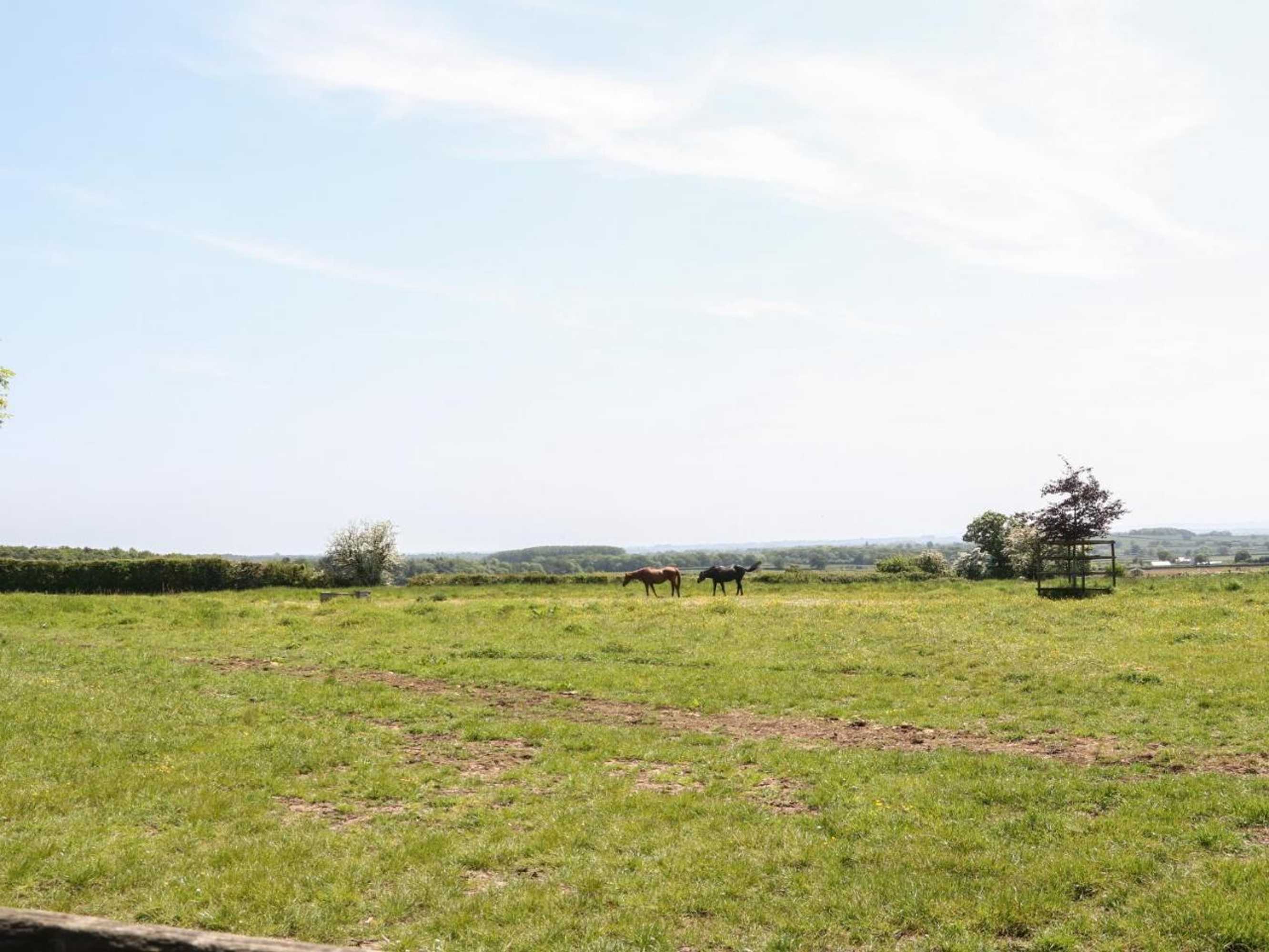 Gift card for Saddlebacks Barn