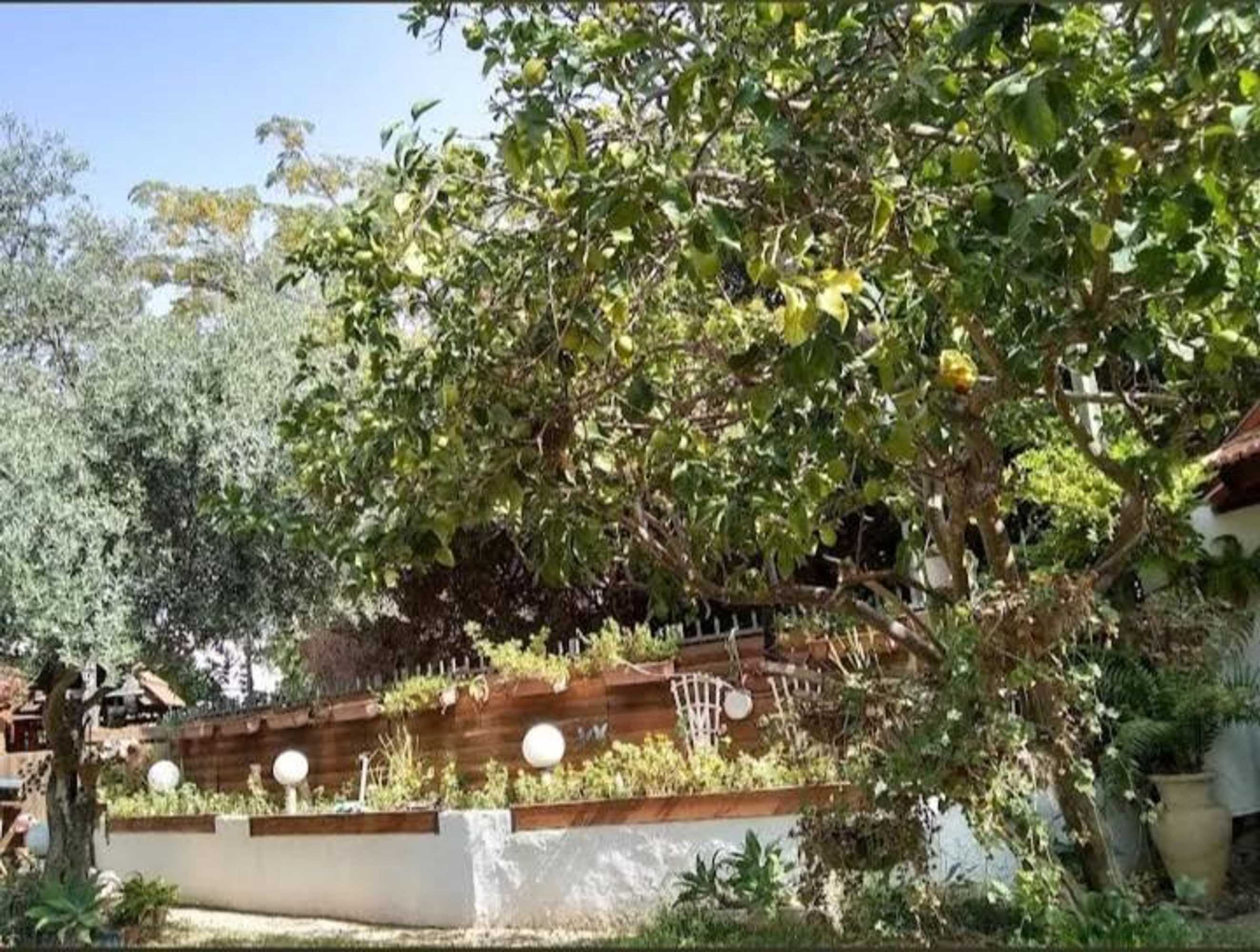 Gift card for Czarina Cabin הבקתה הקיסרית והדירה הקיסרית Czarina Apartment