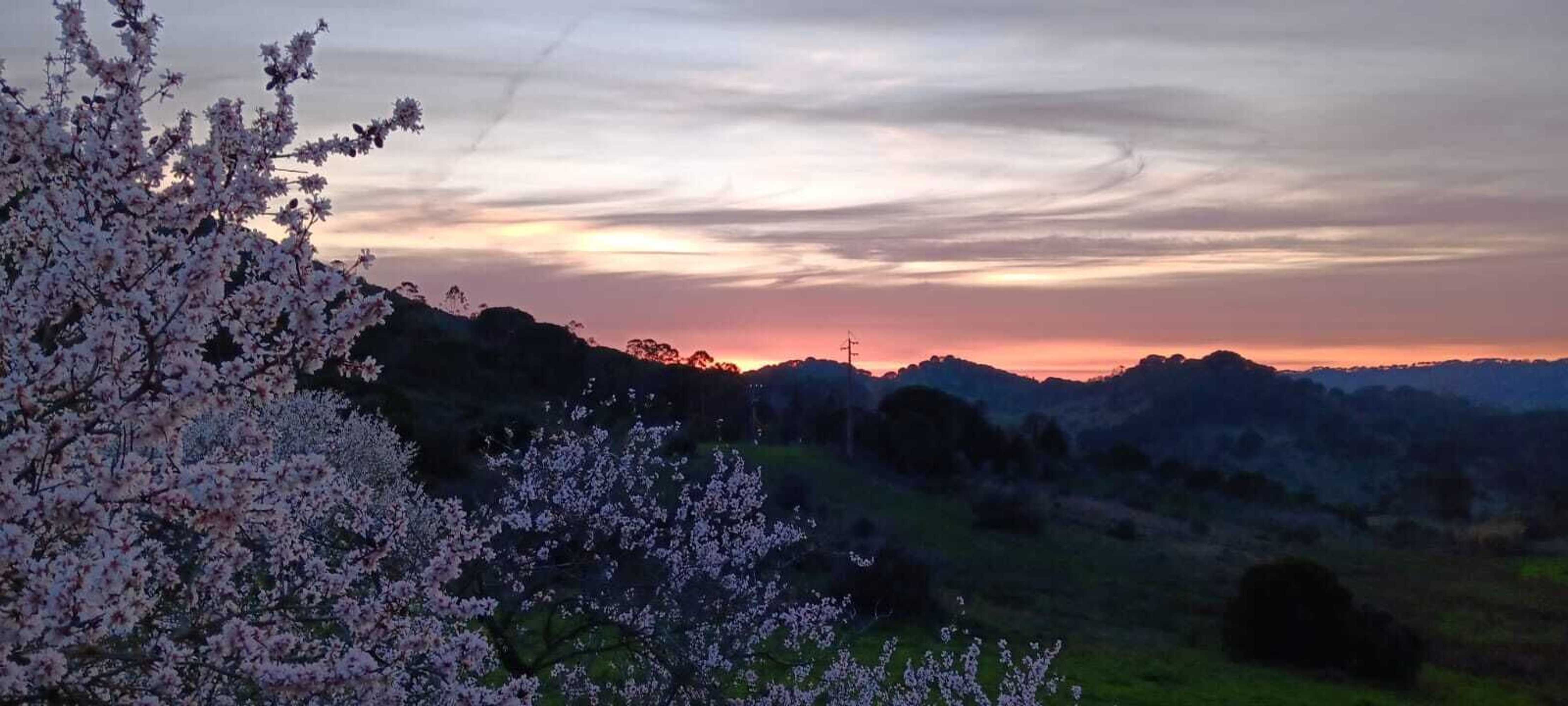 Gift card for Biovilla Sustentabilidade