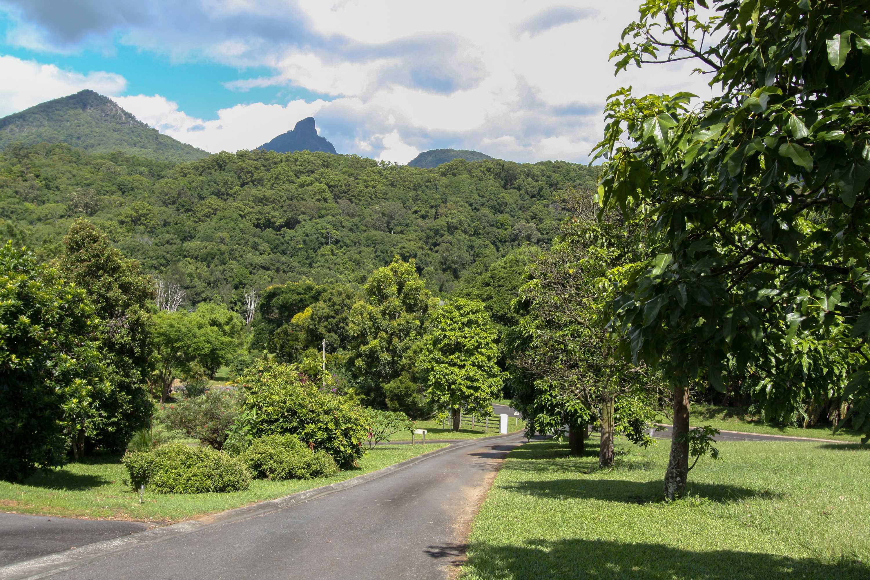 Gift card for A View of Mt Warning B&b Gift card for A View of Mt Warning B&b