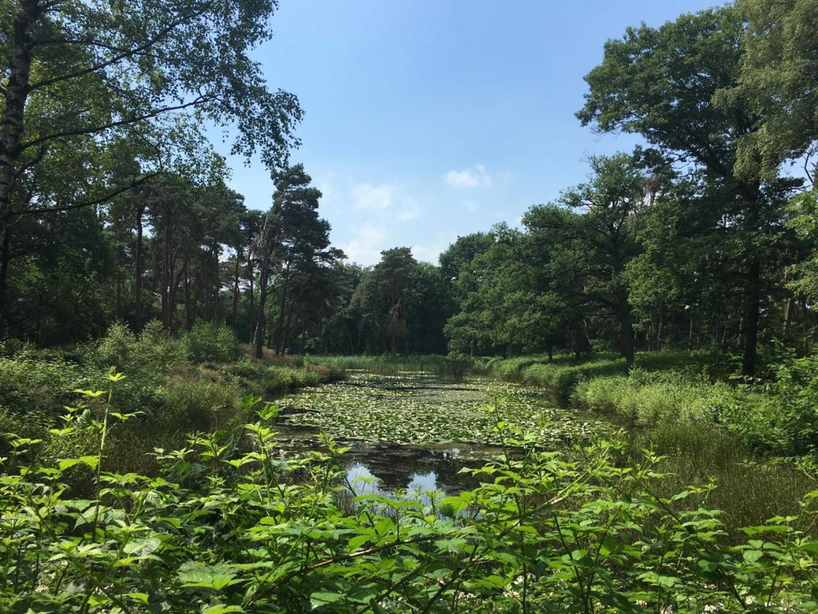 Gift card for Hotel Kapellerput Heeze-Eindhoven