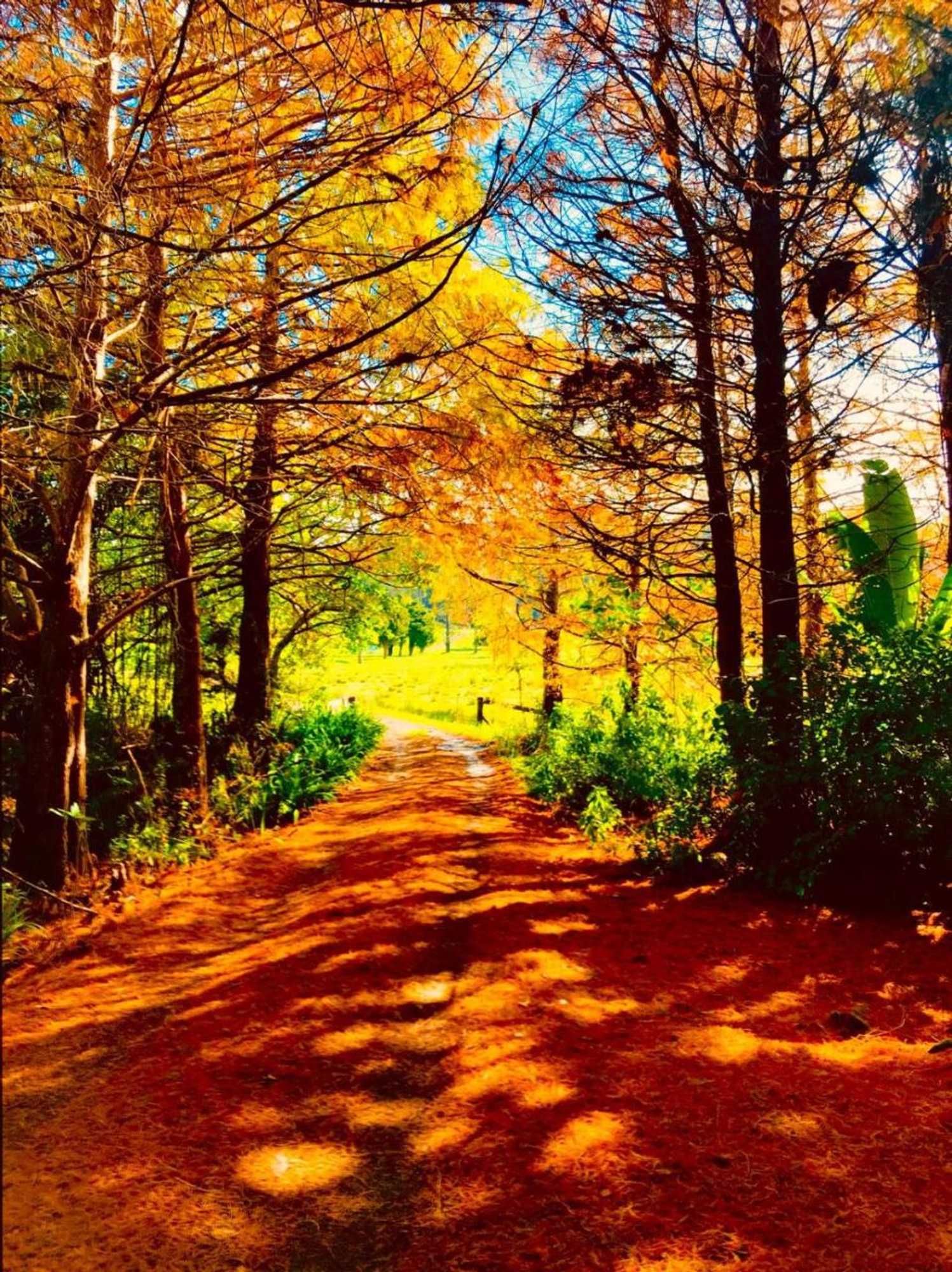 Gift card for Takou River Lodge 