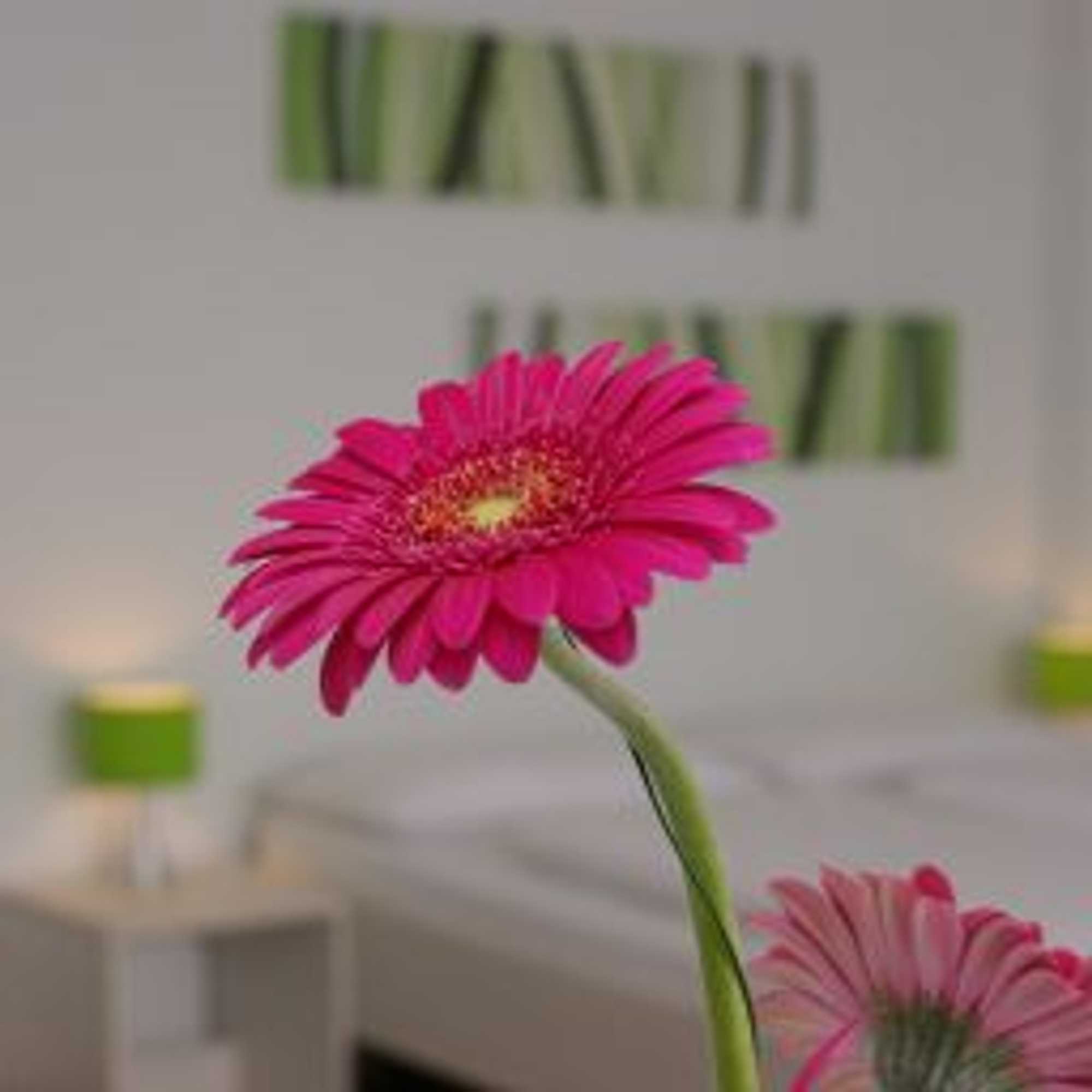 Gift card for Hotel Peterhof - Urban Lifestyle Kempten Gift card for Hotel Peterhof - Urban Lifestyle Kempten