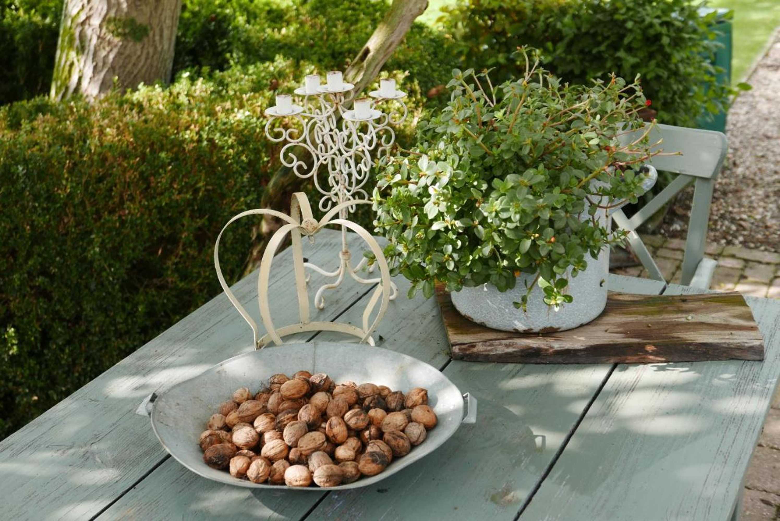 Gift card for B&b Bed en Omelet