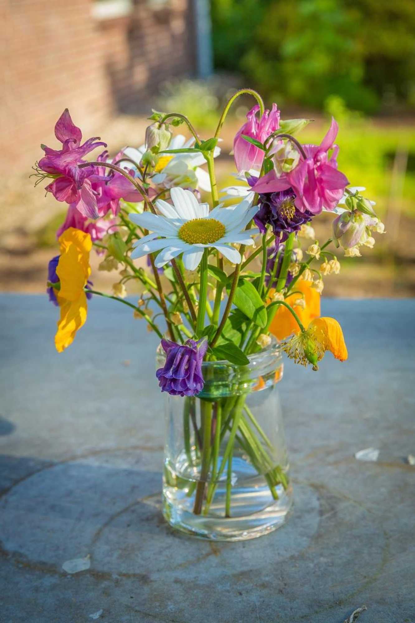 Gift card for B&b Schipborg