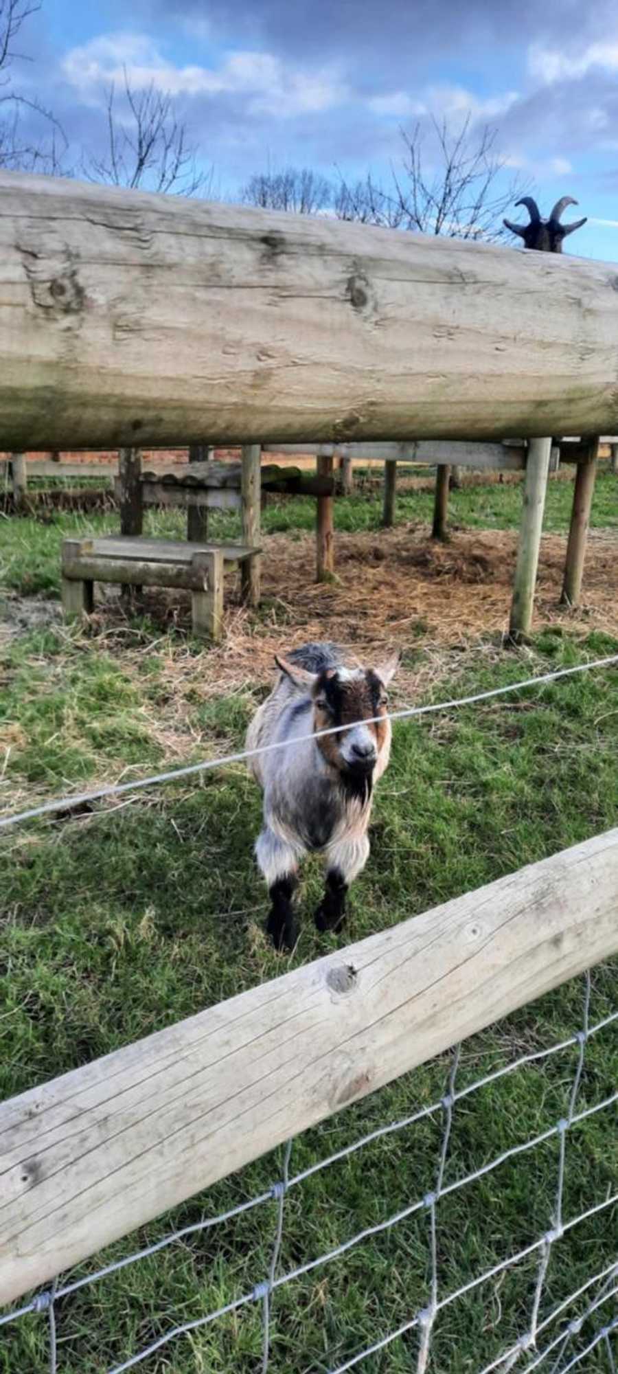 Gift card for Blashford Manor Farmhouse - New Forest Cottage Gift card for Blashford Manor Farmhouse - New Forest Cottage