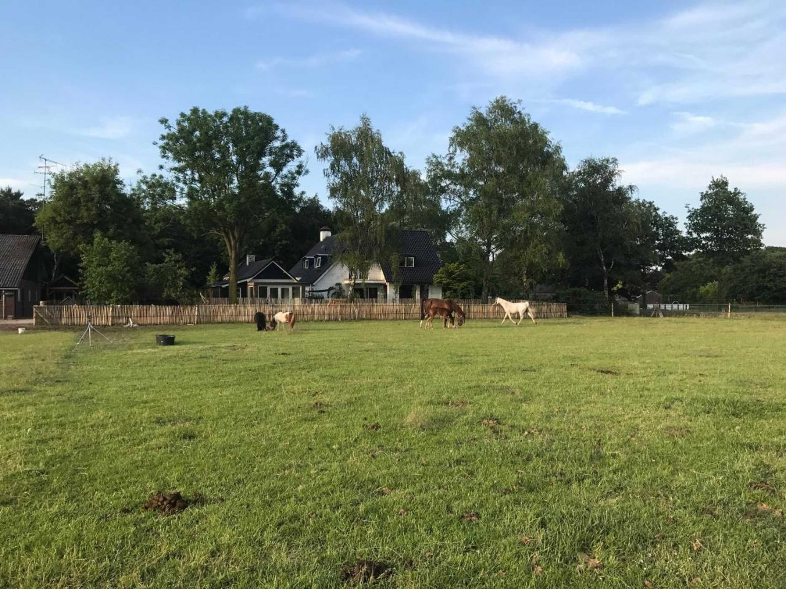 Gift card for Bed & Breakfast de Zandhoef