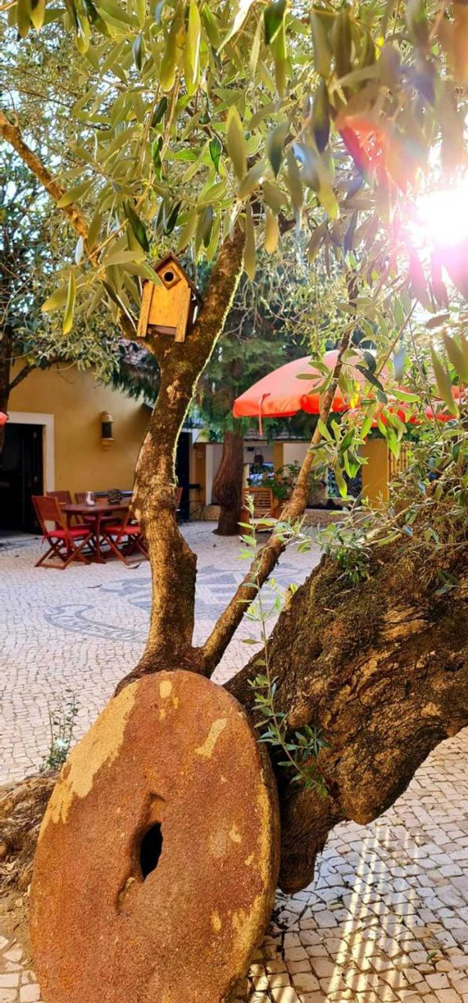 Gift card for Casa De Campo Colmeal