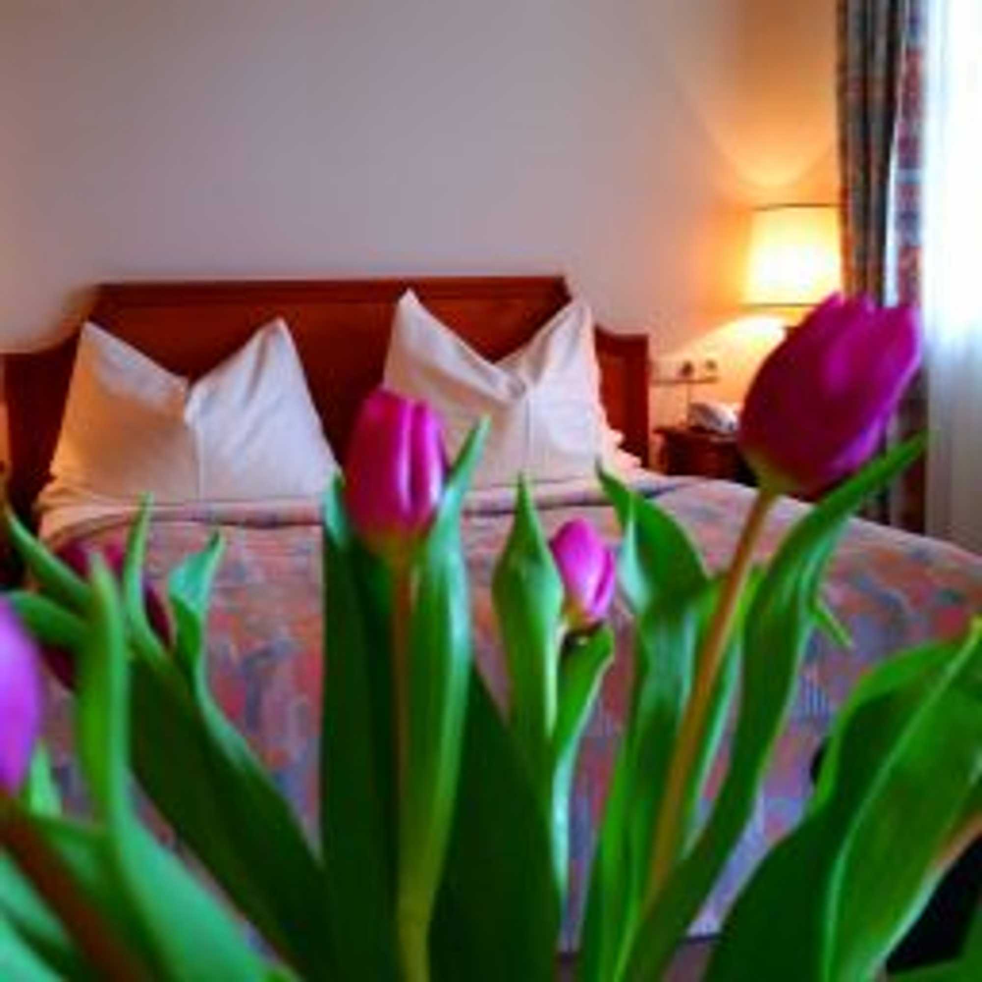Gift card for Appartment-Hotel-Hölzl Gift card for Appartment-Hotel-Hölzl
