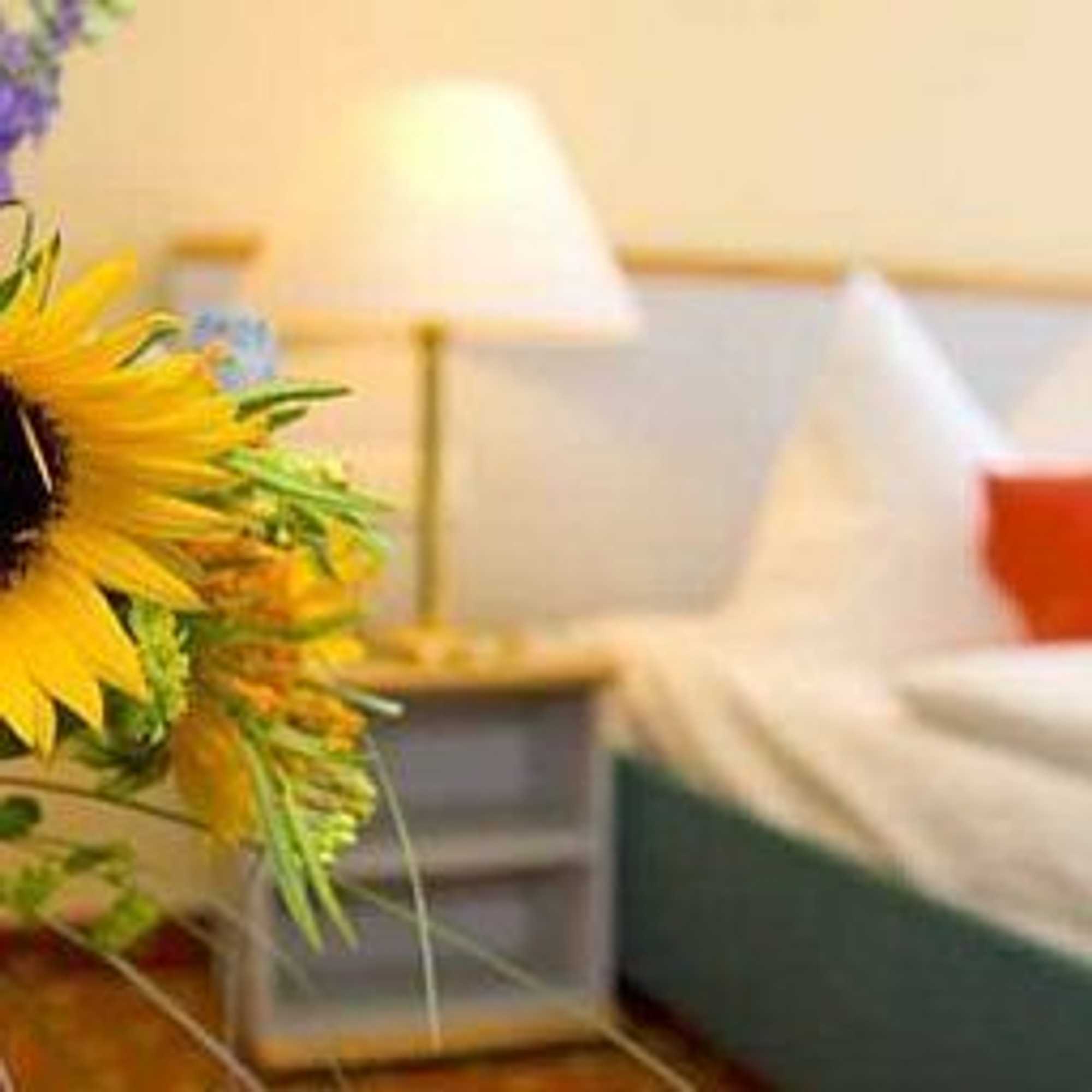 Gift card for Hotel am Müritz-Nationalpark Gift card for Hotel am Müritz-Nationalpark