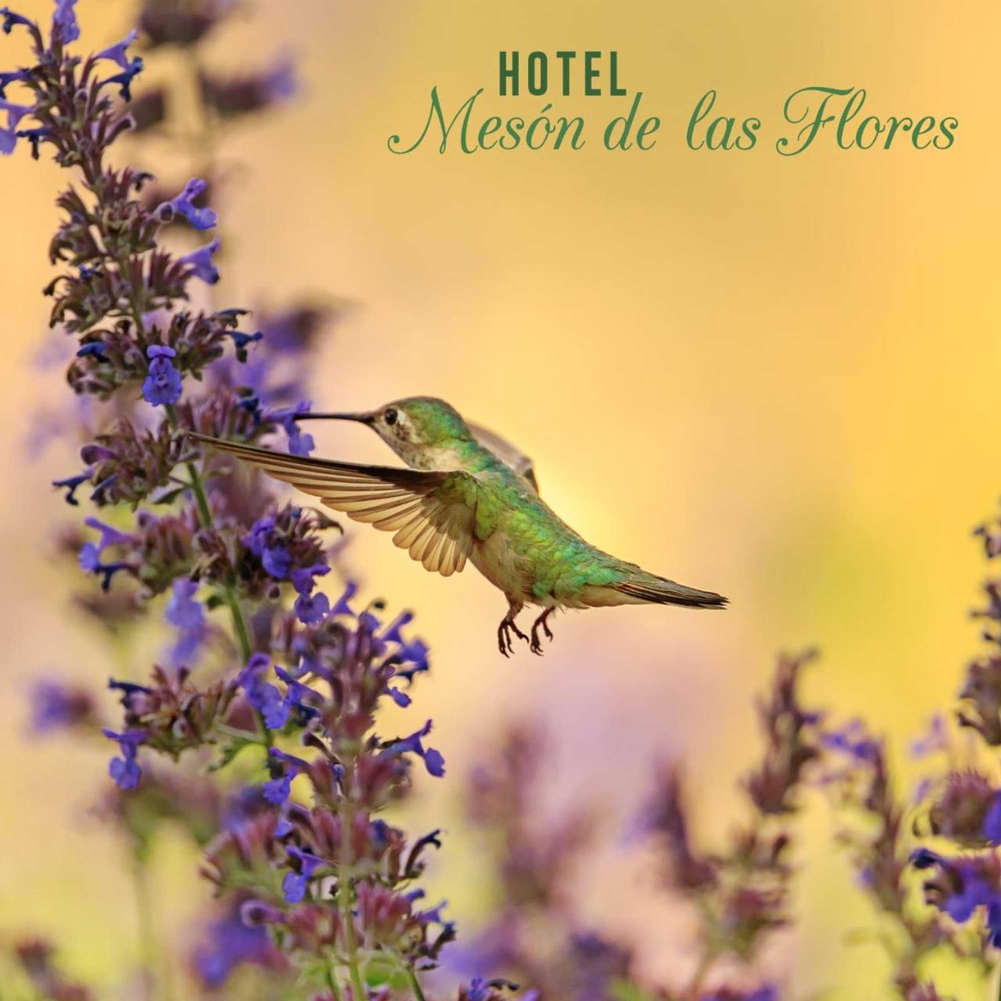 Gift card for Hotel el Meson de Las Flores