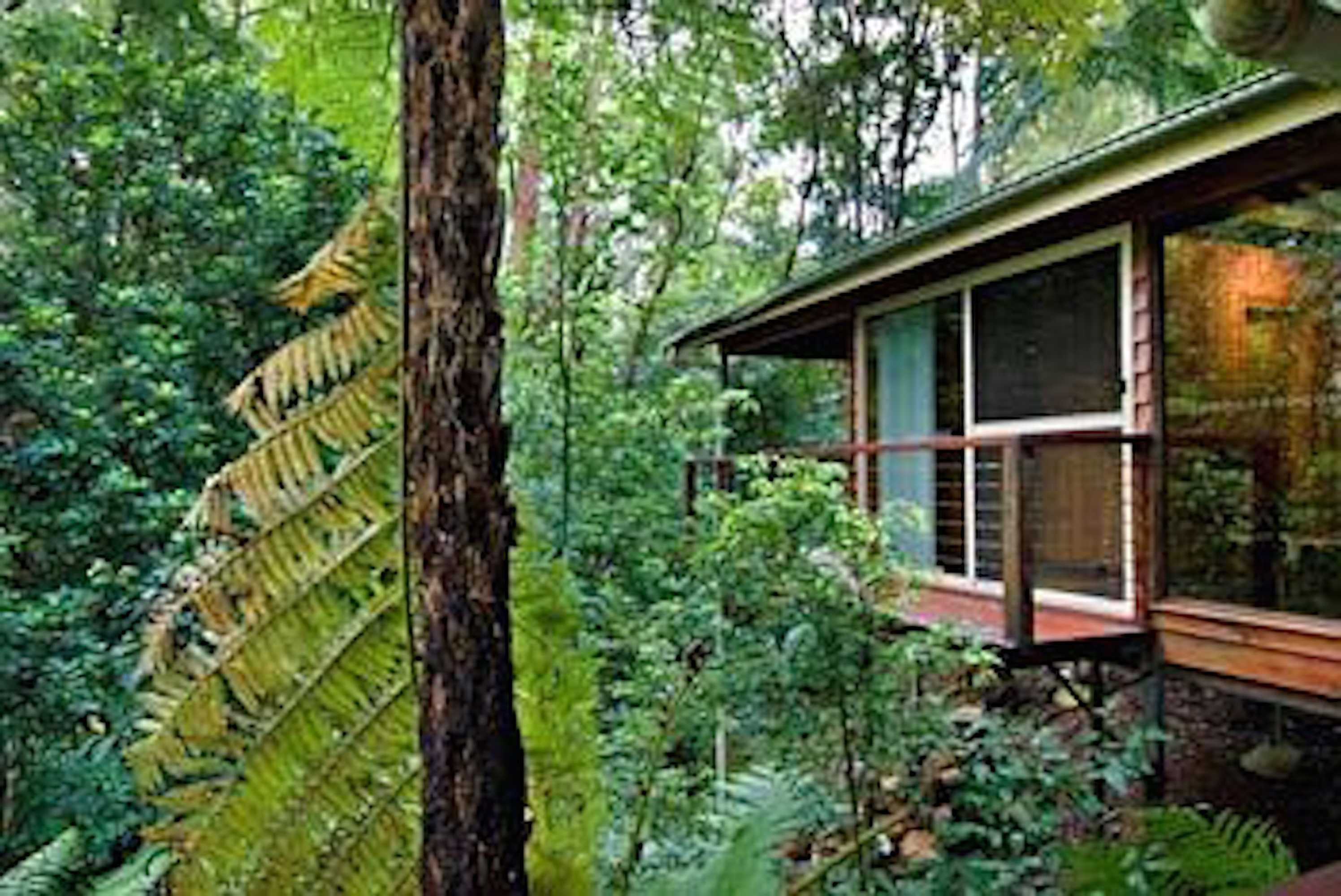 Gift card for Kondalilla Eco Resort Gift card for Kondalilla Eco Resort