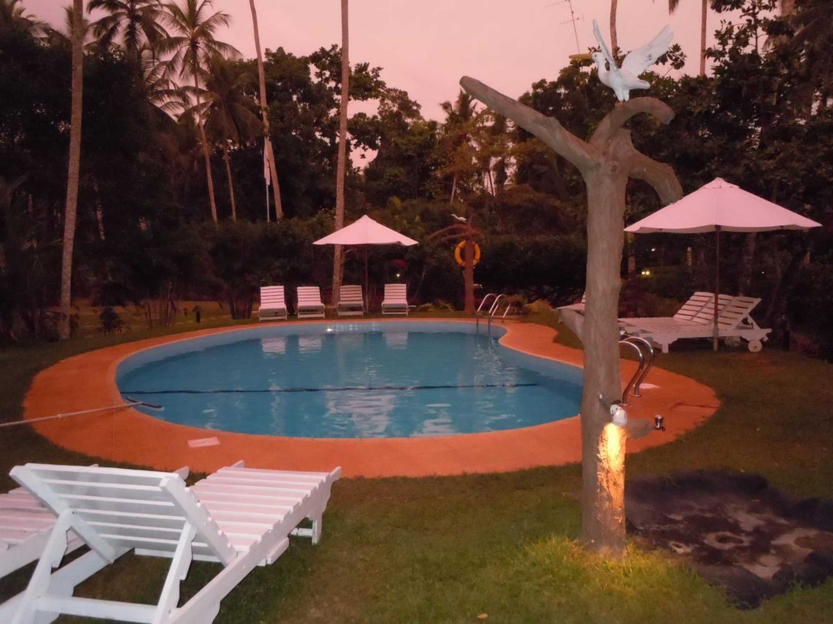 Gift card for Dalmanuta Gardens Gift card for Dalmanuta Gardens