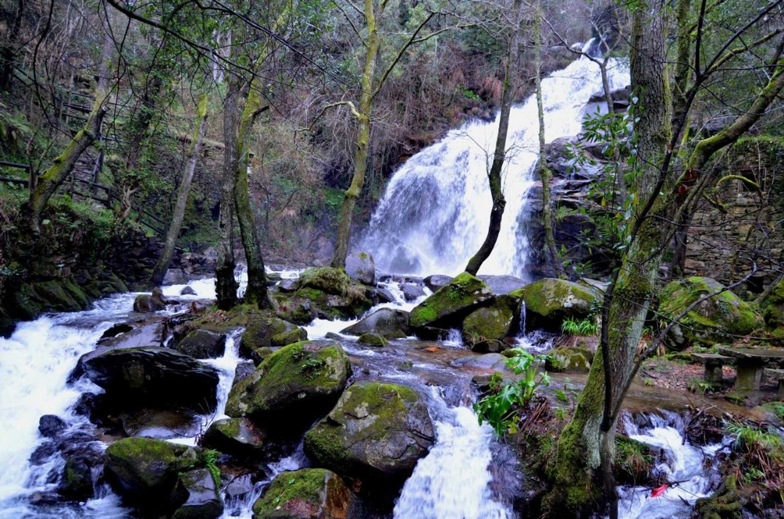 Gift card for Villa de Paco