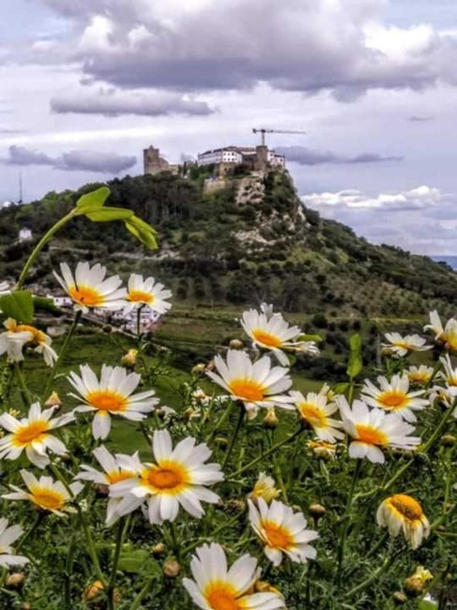 Gift card for Páteo da Memória Casa do Pintor