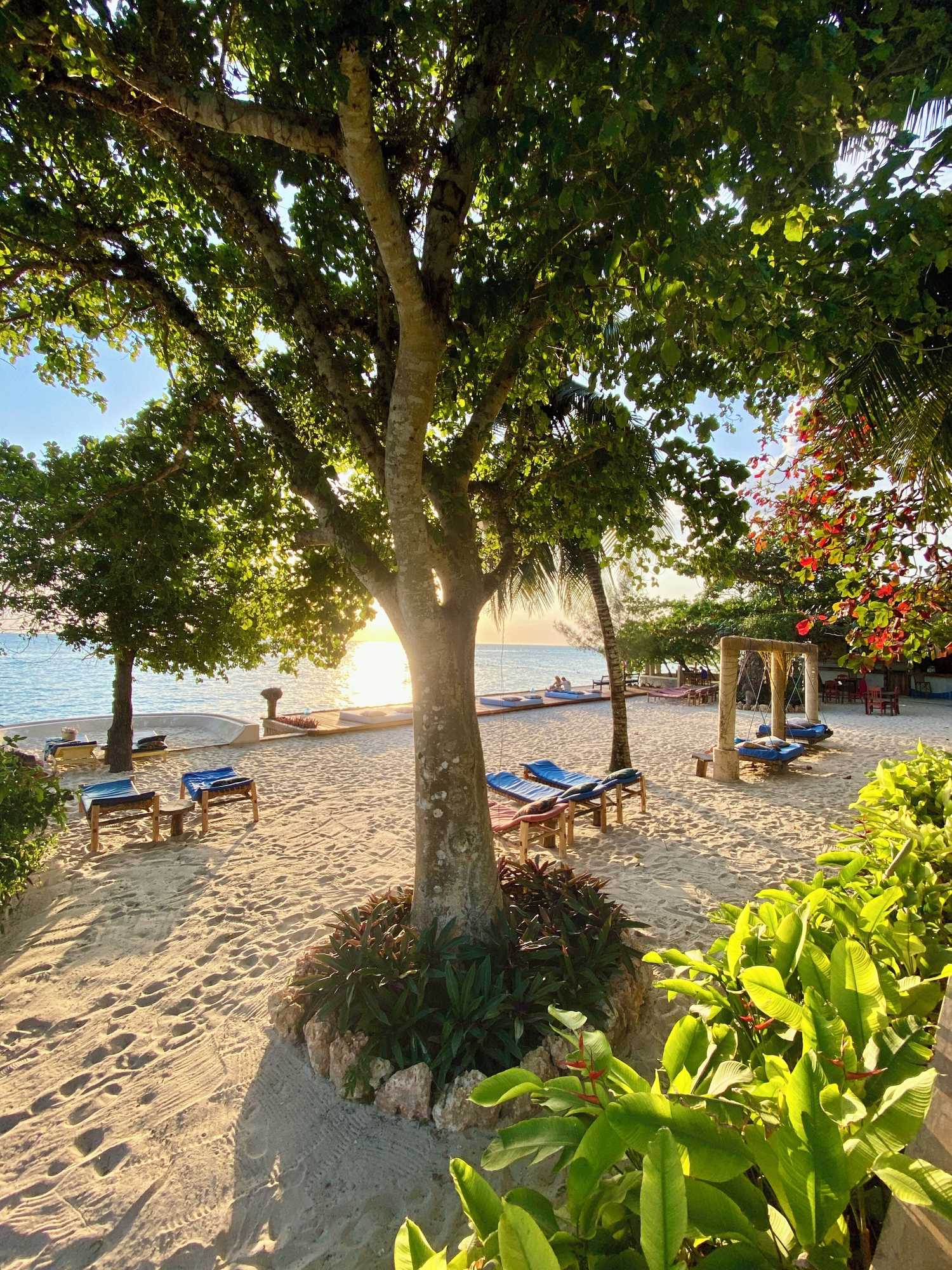 Gift card for Mangrove Lodge
