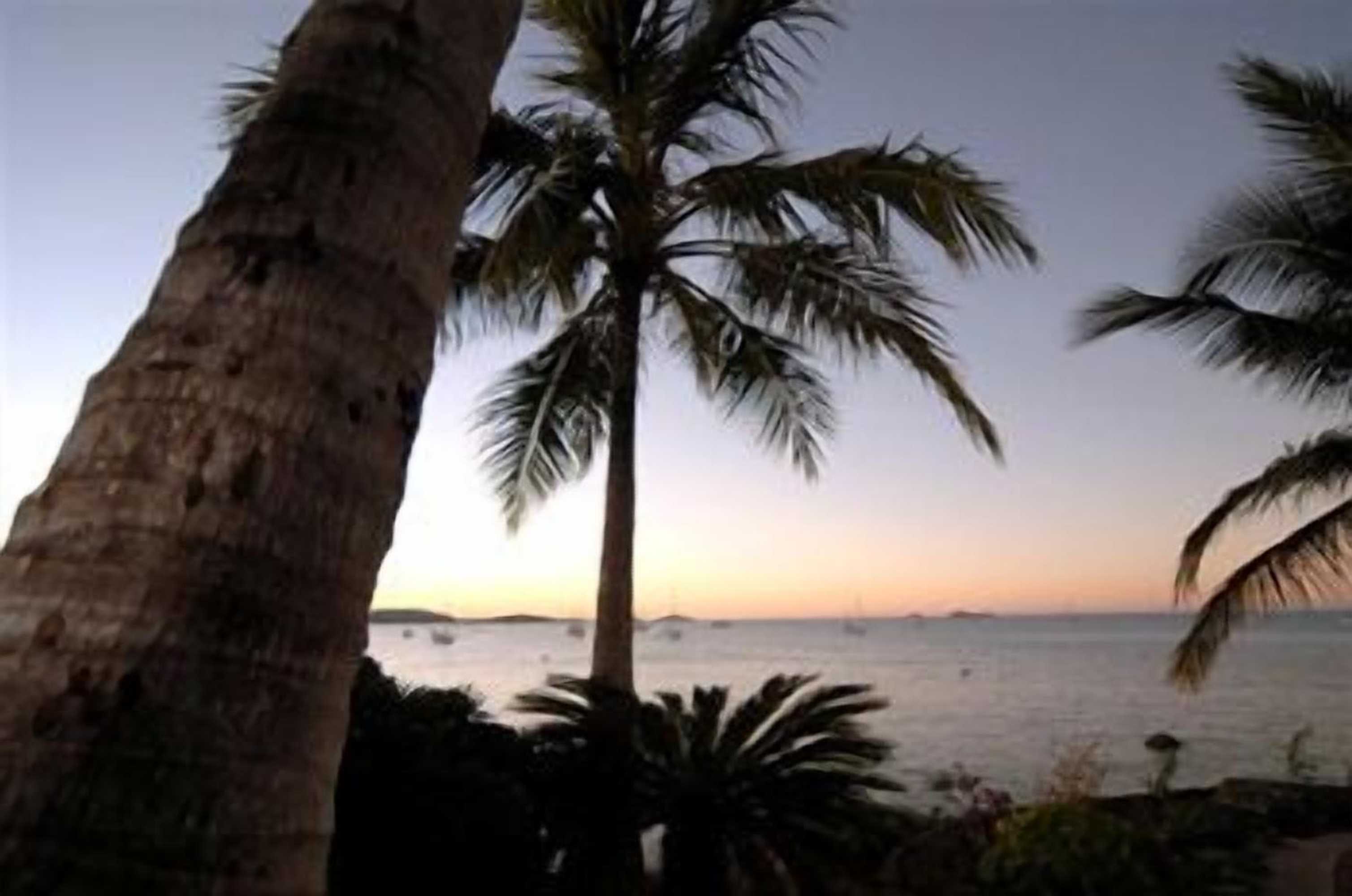 Gift card for Mango House Resort Gift card for Mango House Resort