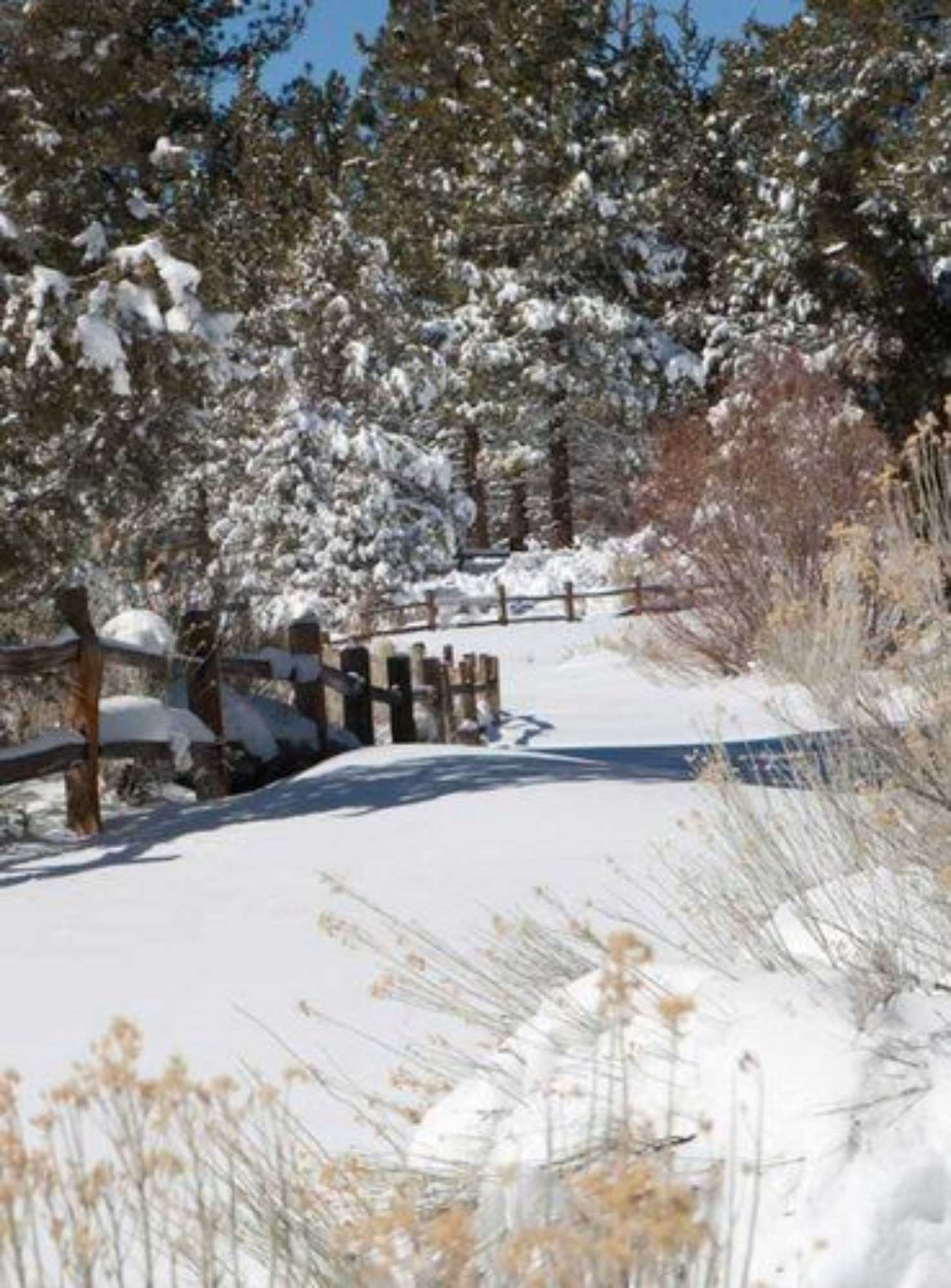 Gift card for Gold Mountain Manor Bed And Breakfast Gift card for Gold Mountain Manor Bed And Breakfast