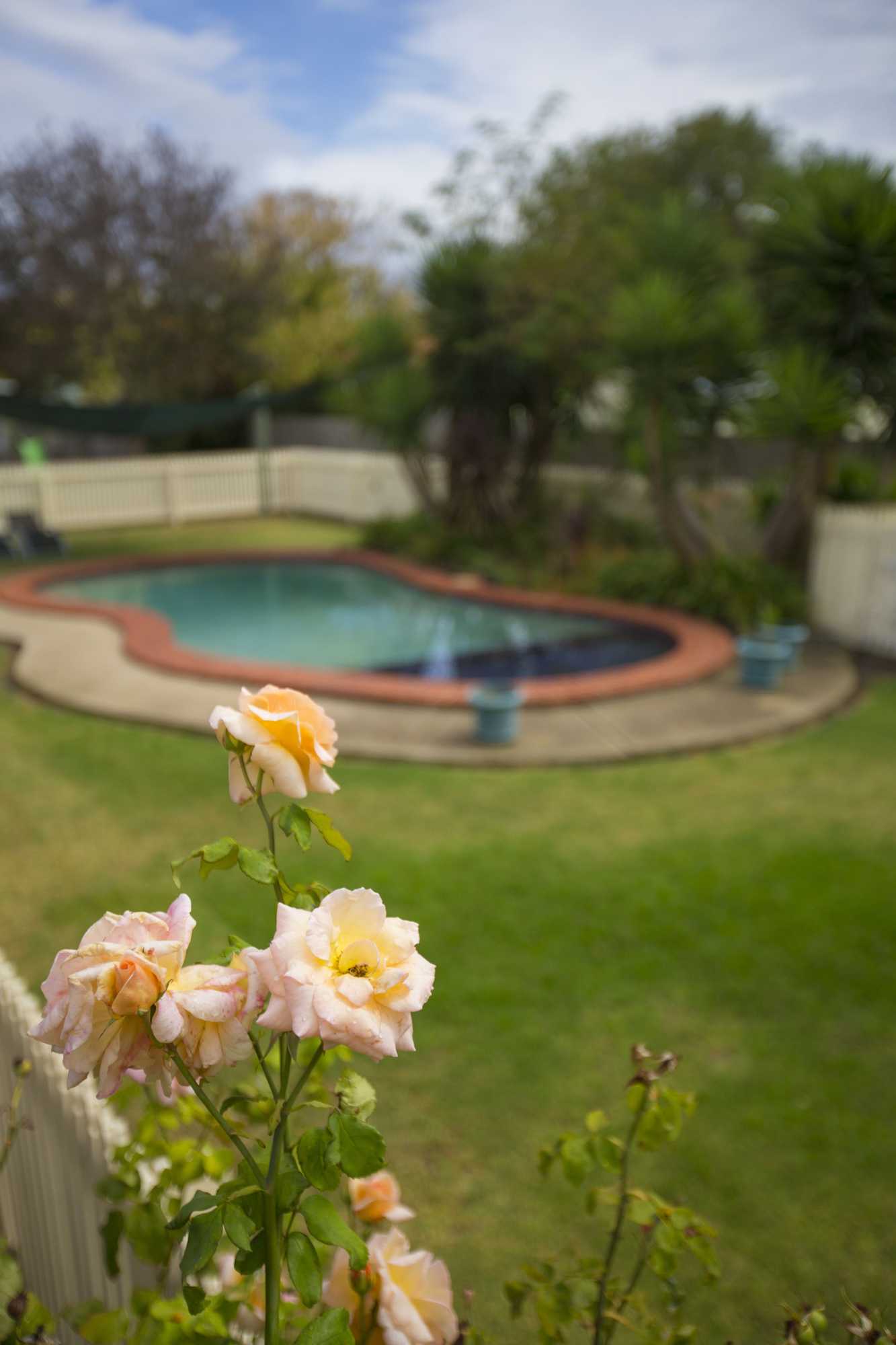 Gift card for Rose Garden Motel Gift card for Rose Garden Motel