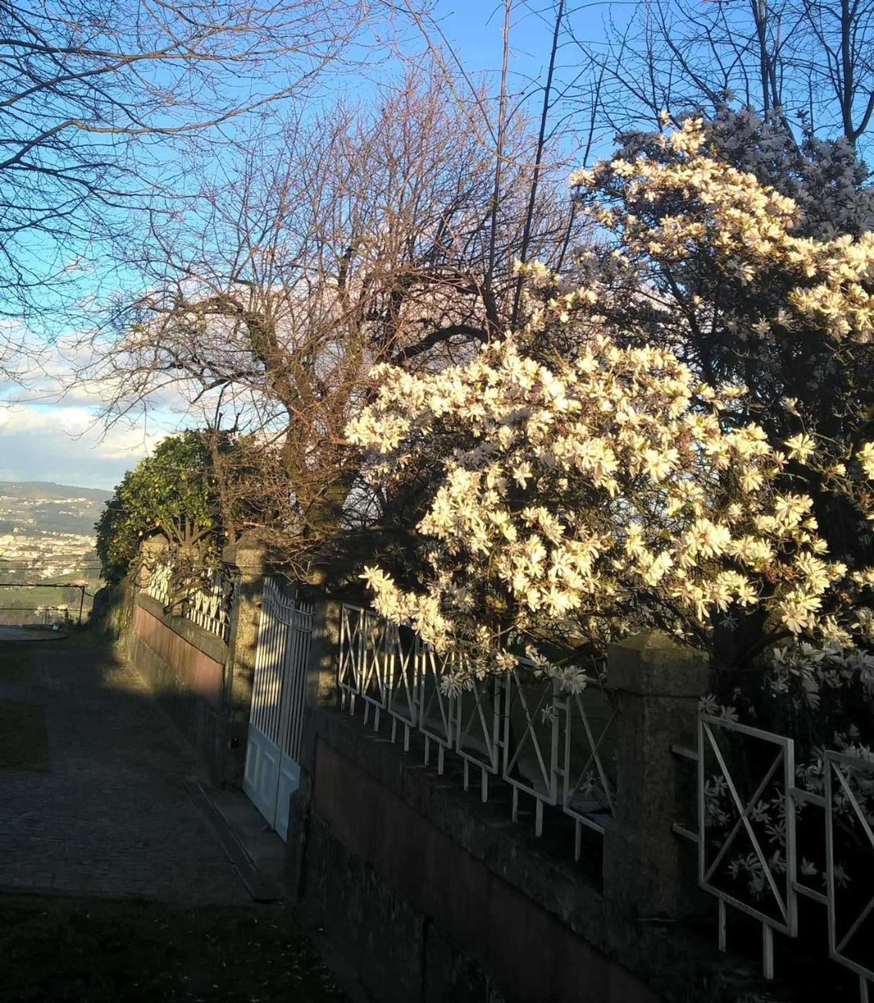 Gift card for Alto Belo