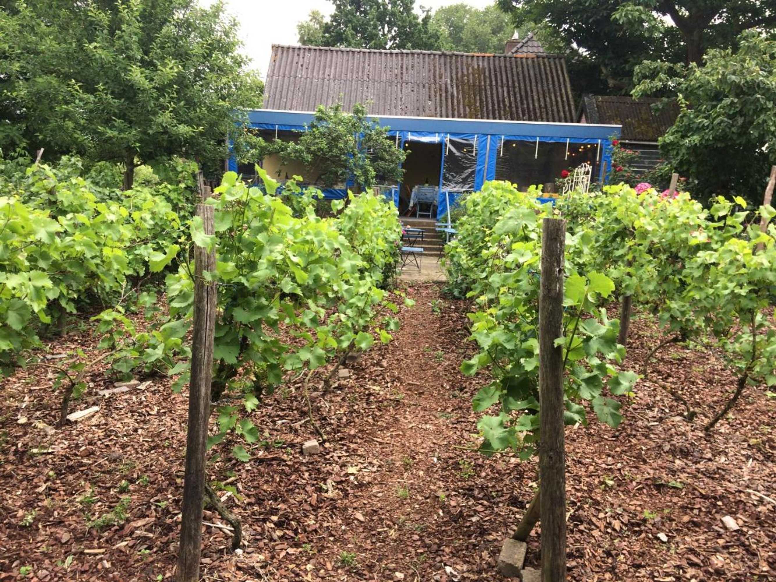 Gift card for Bed And Garden D’alde Coninckshof