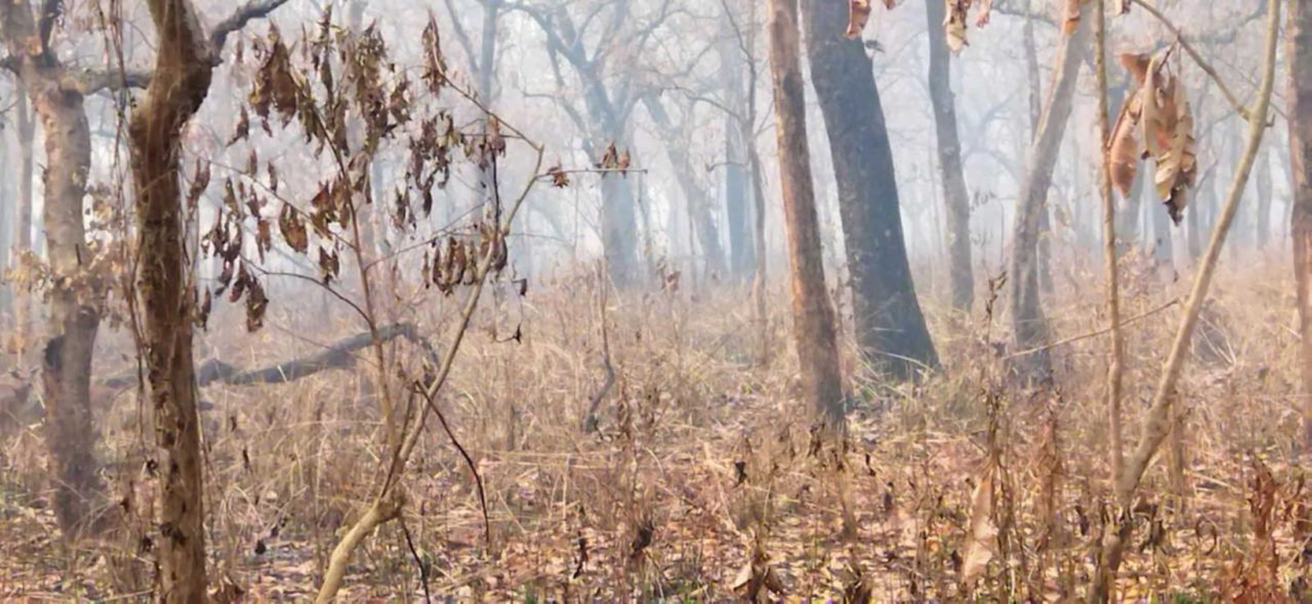 Gift card for Sauraha Holiday Home Riverside