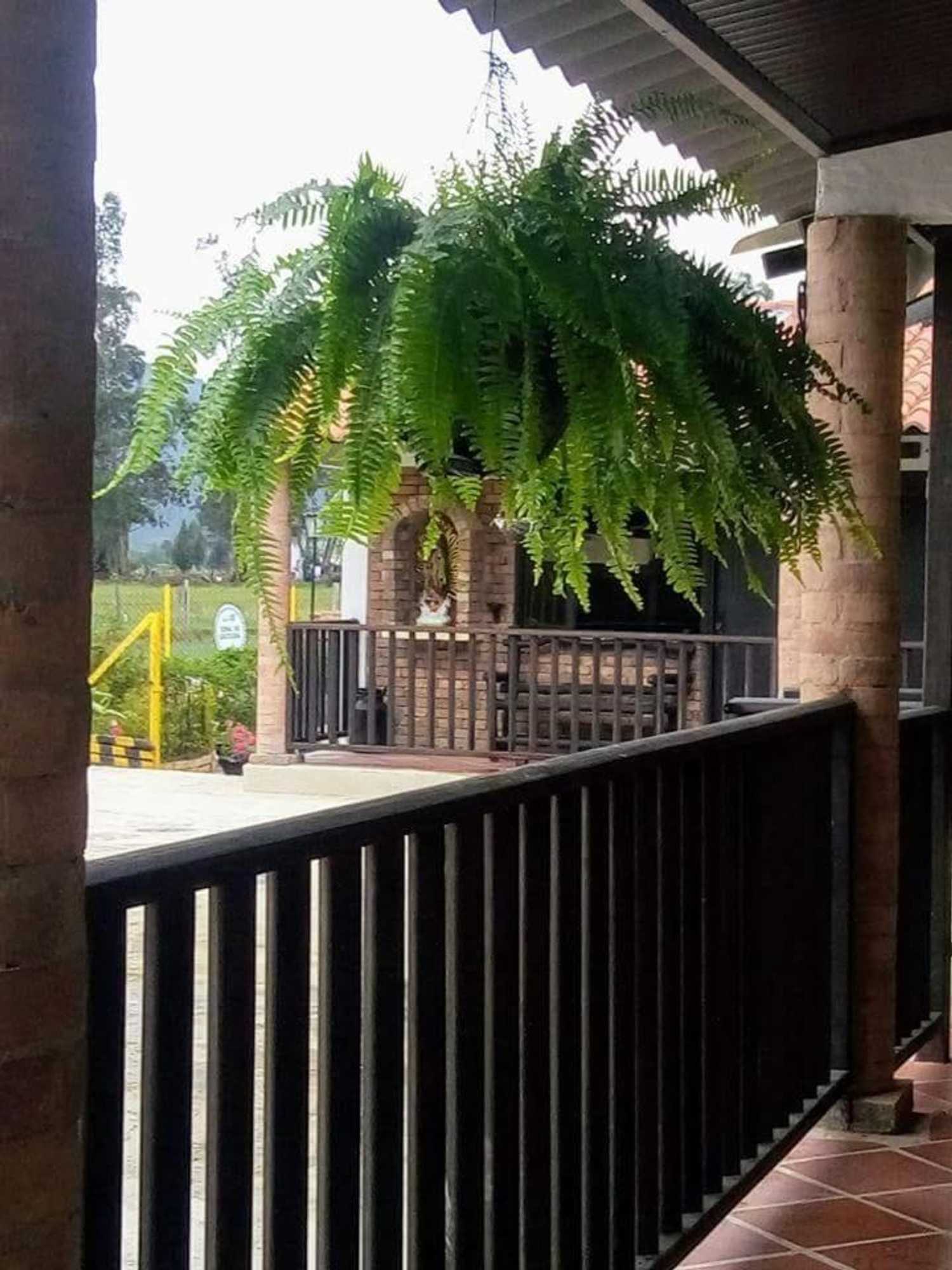 Gift card for Posadas San Antonio Campestre