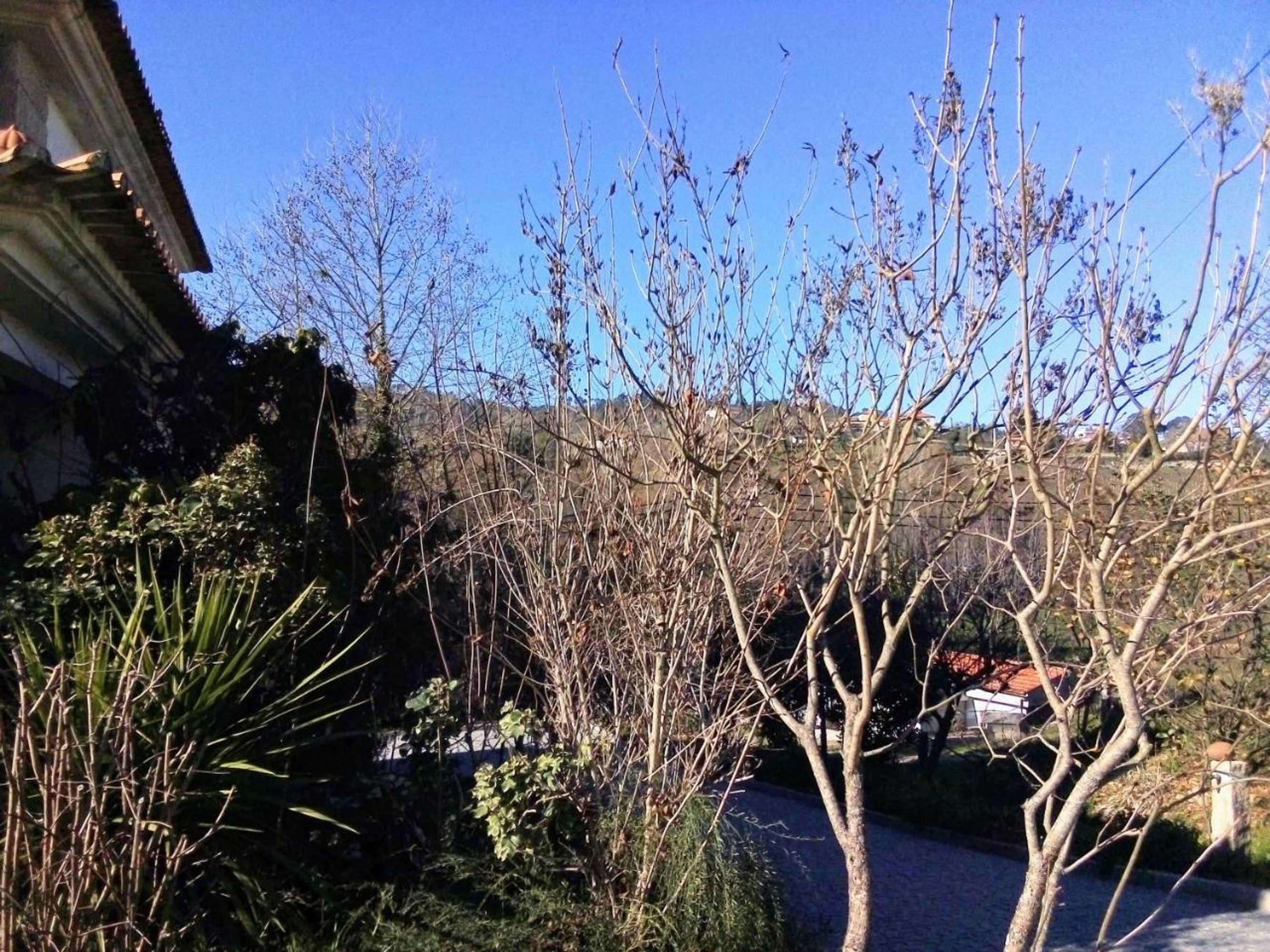 Gift card for Casa Vale do Rio Ovil Gift card for Casa Vale do Rio Ovil