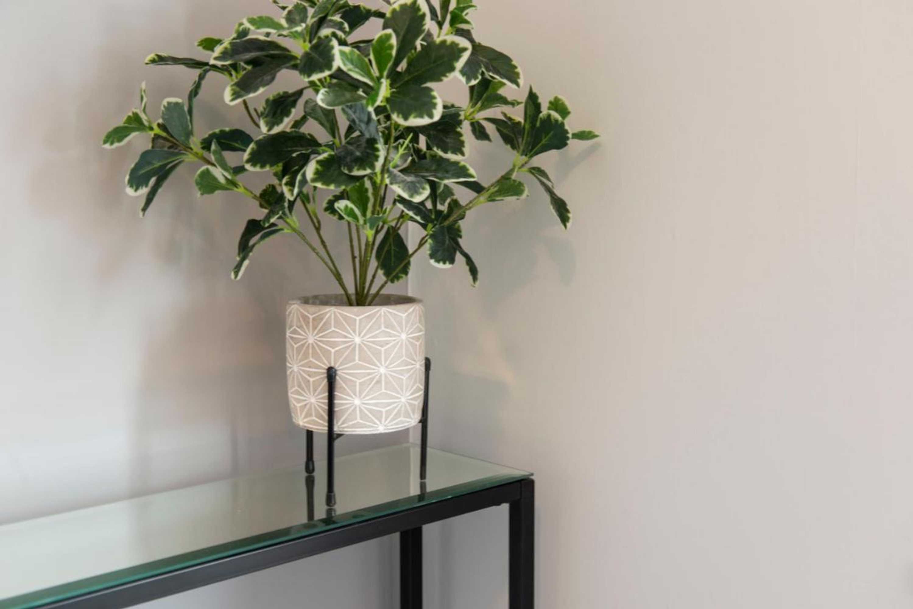 Gift card for Highcliffe Holiday Apartments